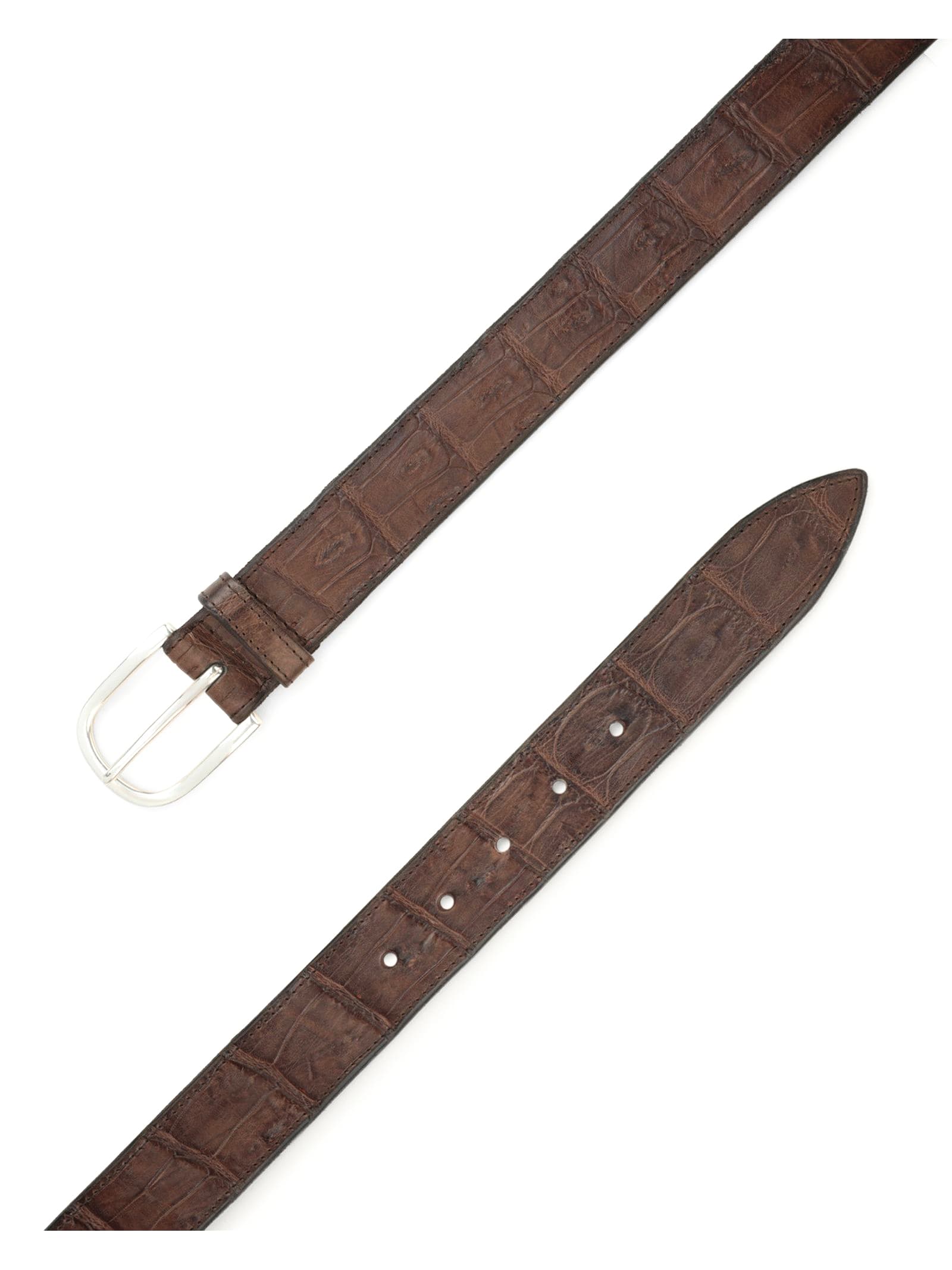 Shop Orciani Cocco Coda Color Classic Crocodile Leather Belt In Brown