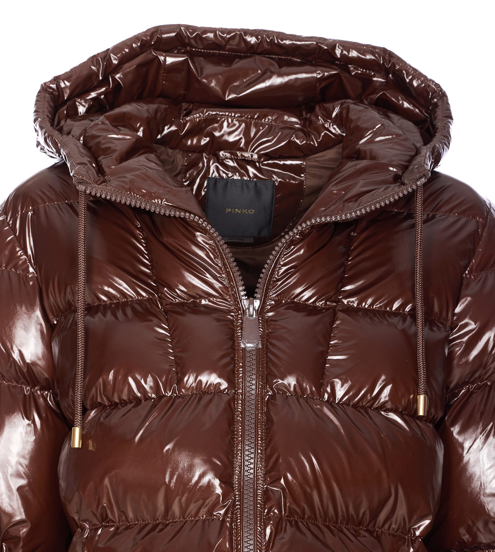 Pinko Eleodoro Down Jacket In Brown