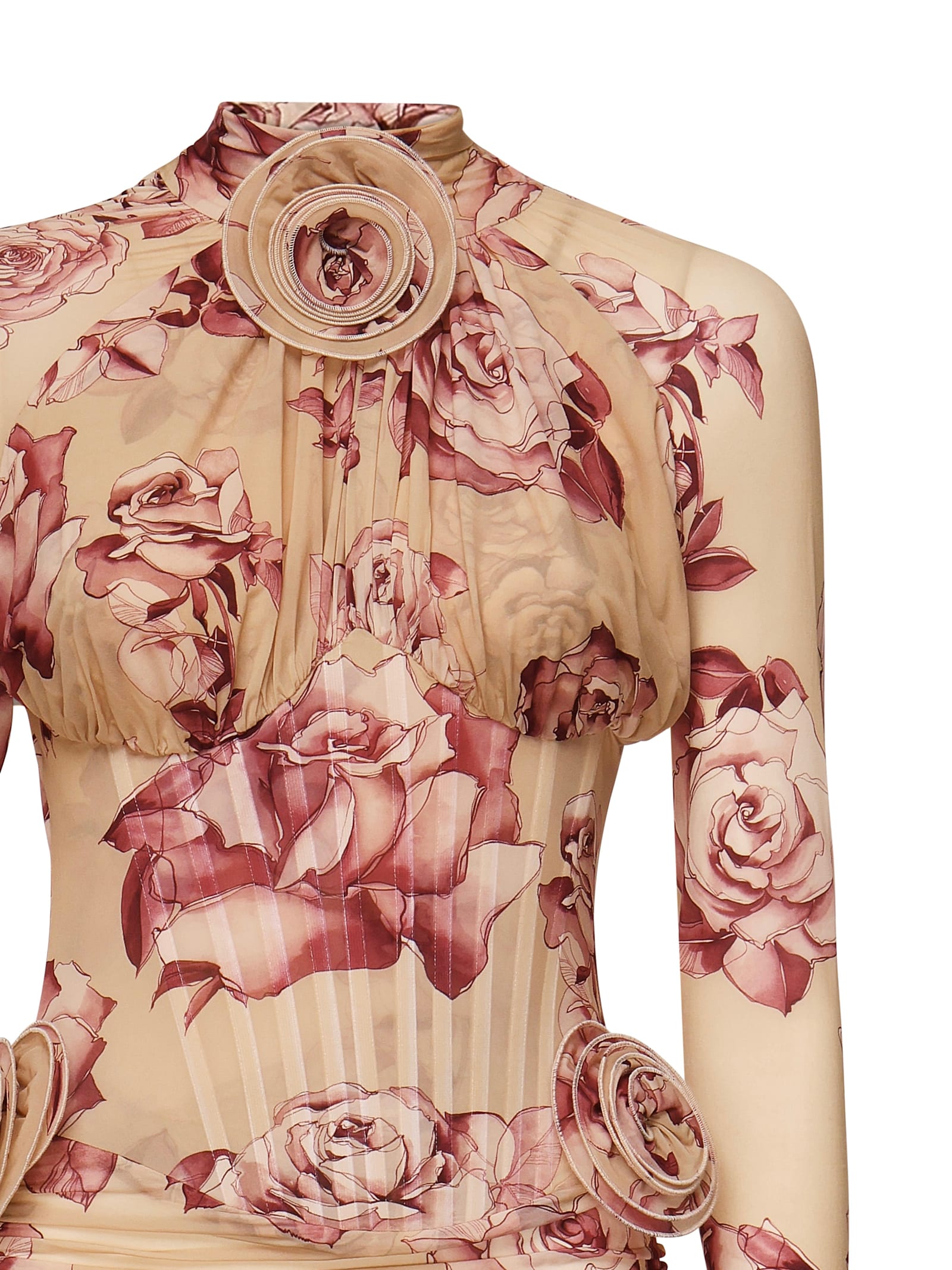 Magda Butrym Long-sleeved Transparent Midi Bustier Dress With Beige Print