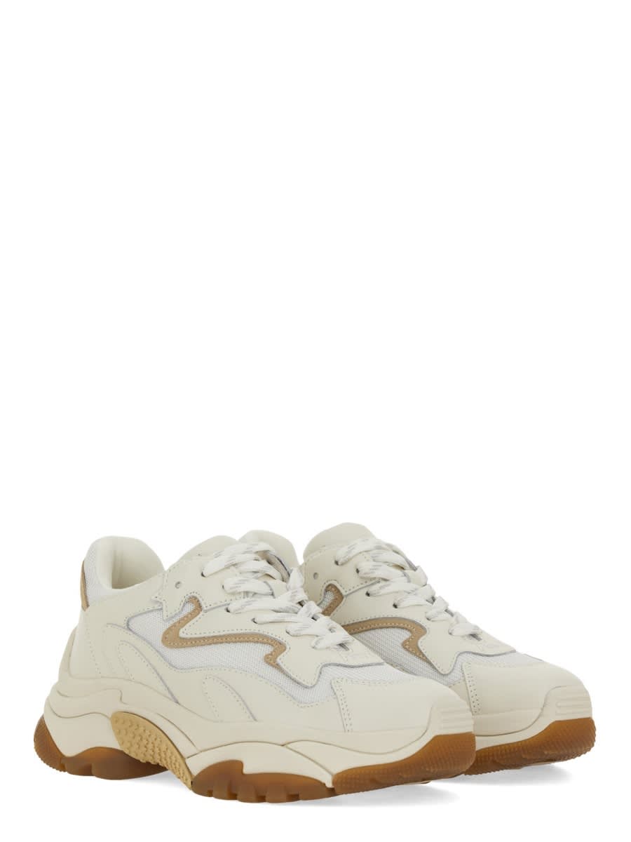 Shop Ash Sneaker Addict In Beige