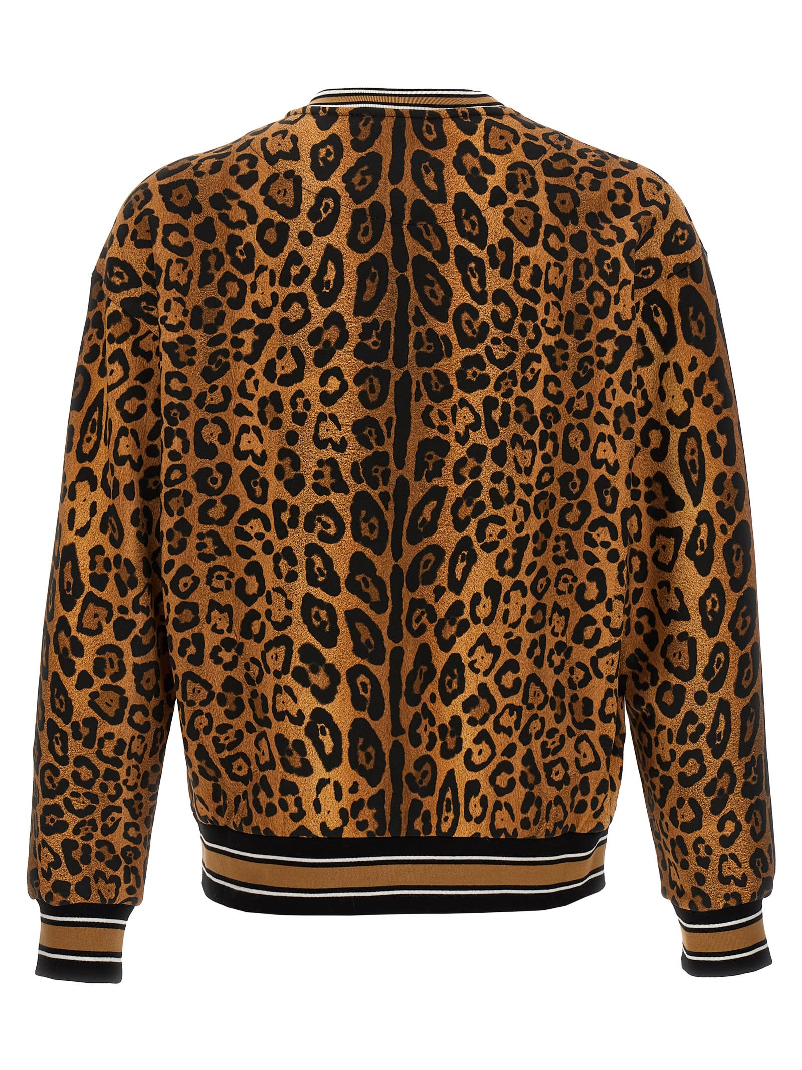 Shop Dolce & Gabbana Leopard Print Sweatshirt In Brown