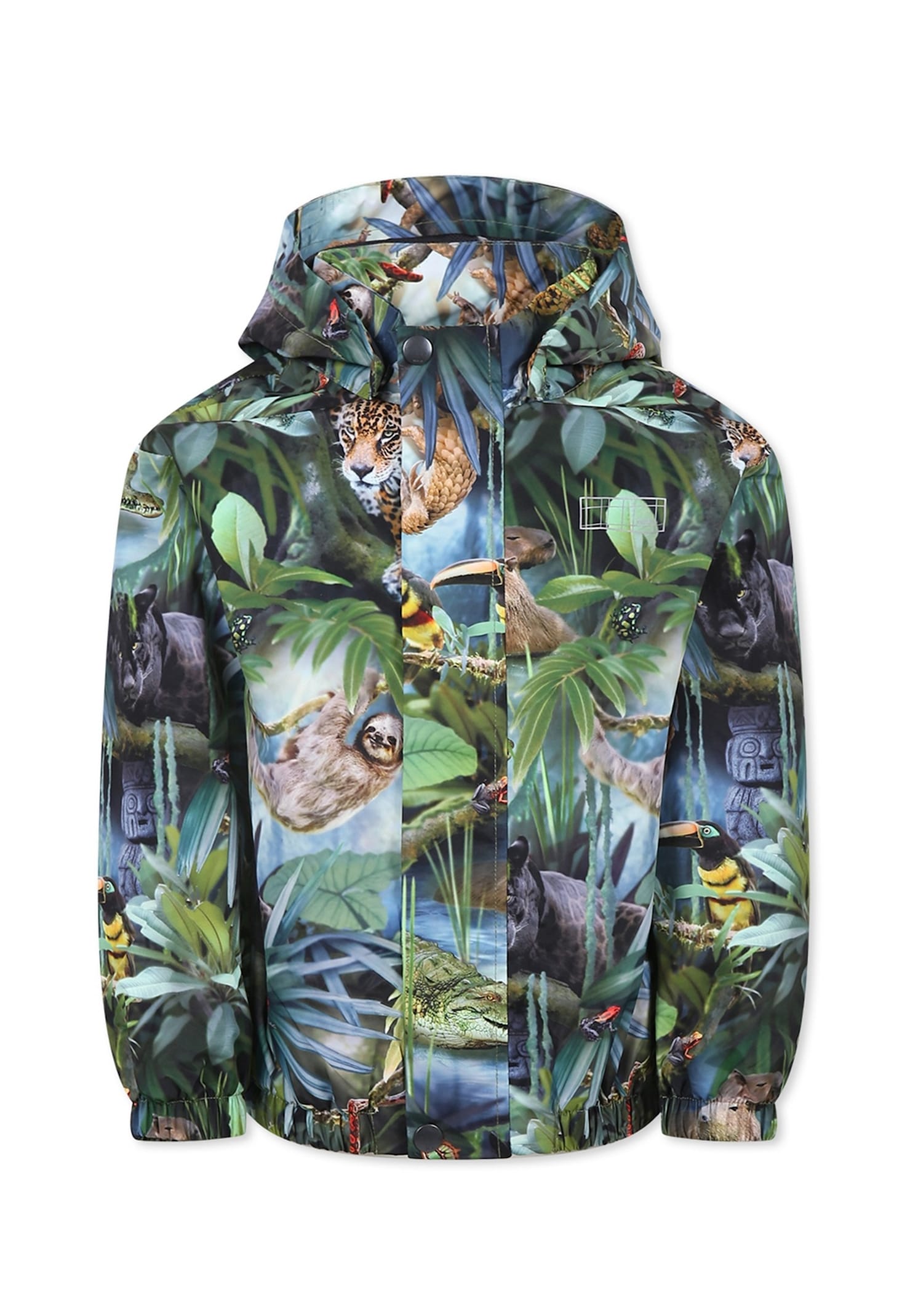Molo Geen Windbreaker Jacket For Kids With Jungle Print In Green