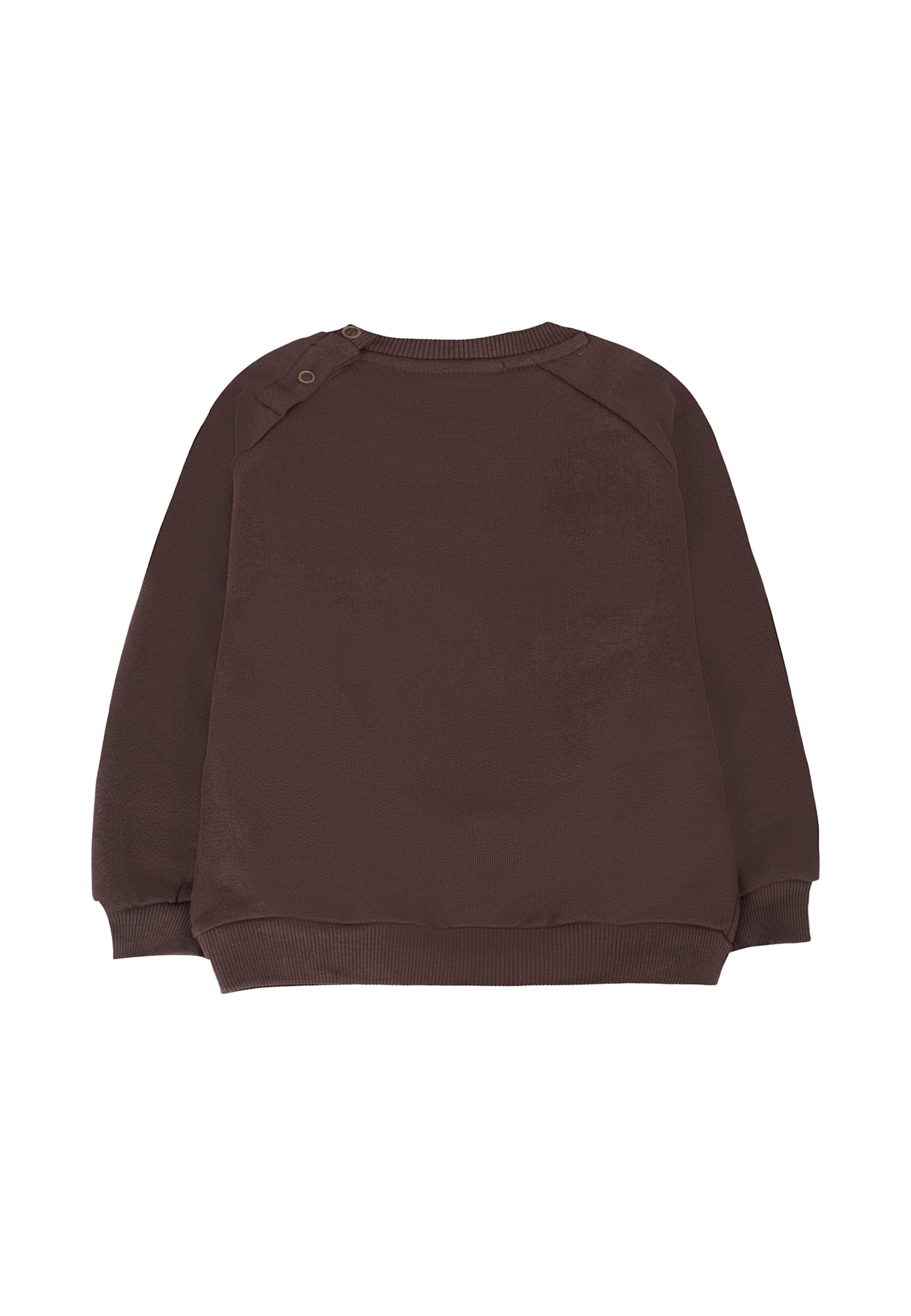 Molo Brown Sweatshirt For Babykids With Bear In Brown
