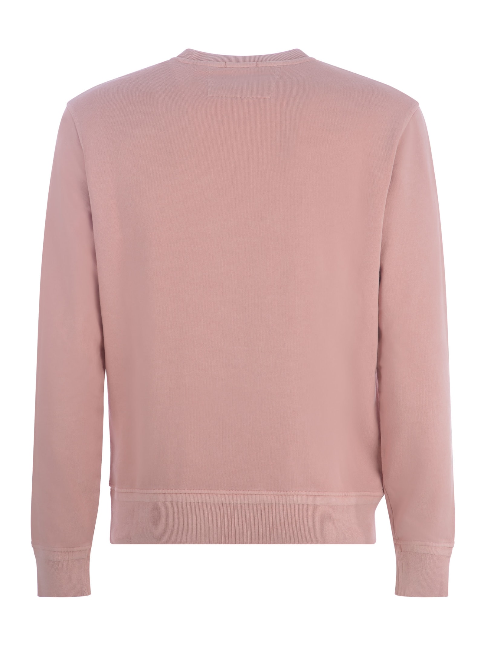 Shop C.p. Company Sweatshirt  In Cotton In Rosa Antico