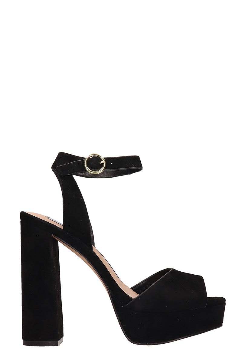 steve madden madeline black suede