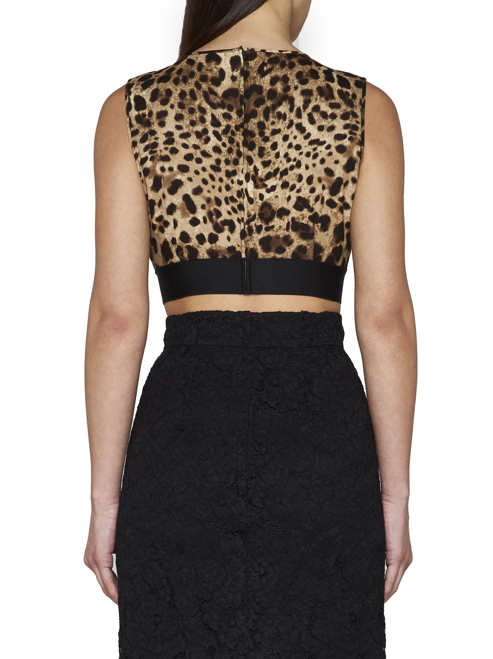 Dolce & Gabbana Brown Animal Print Cropped Top In Leo New