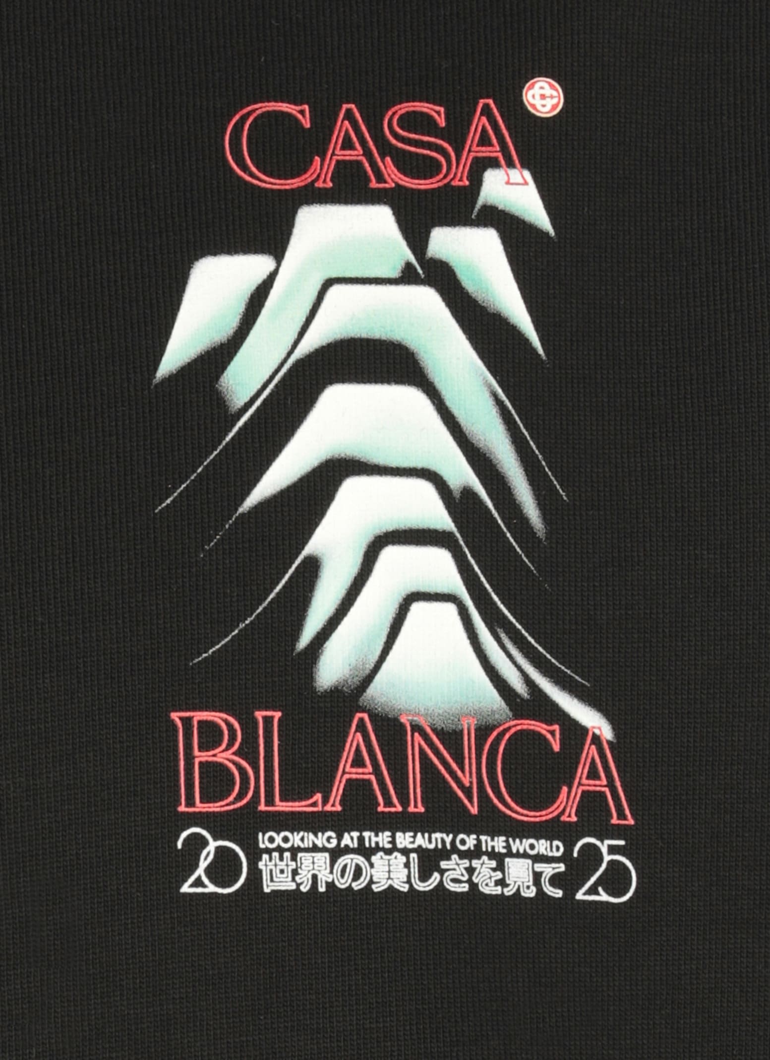 Casablanca Mountain Frost Graphic Crewneck T-shirt In Black