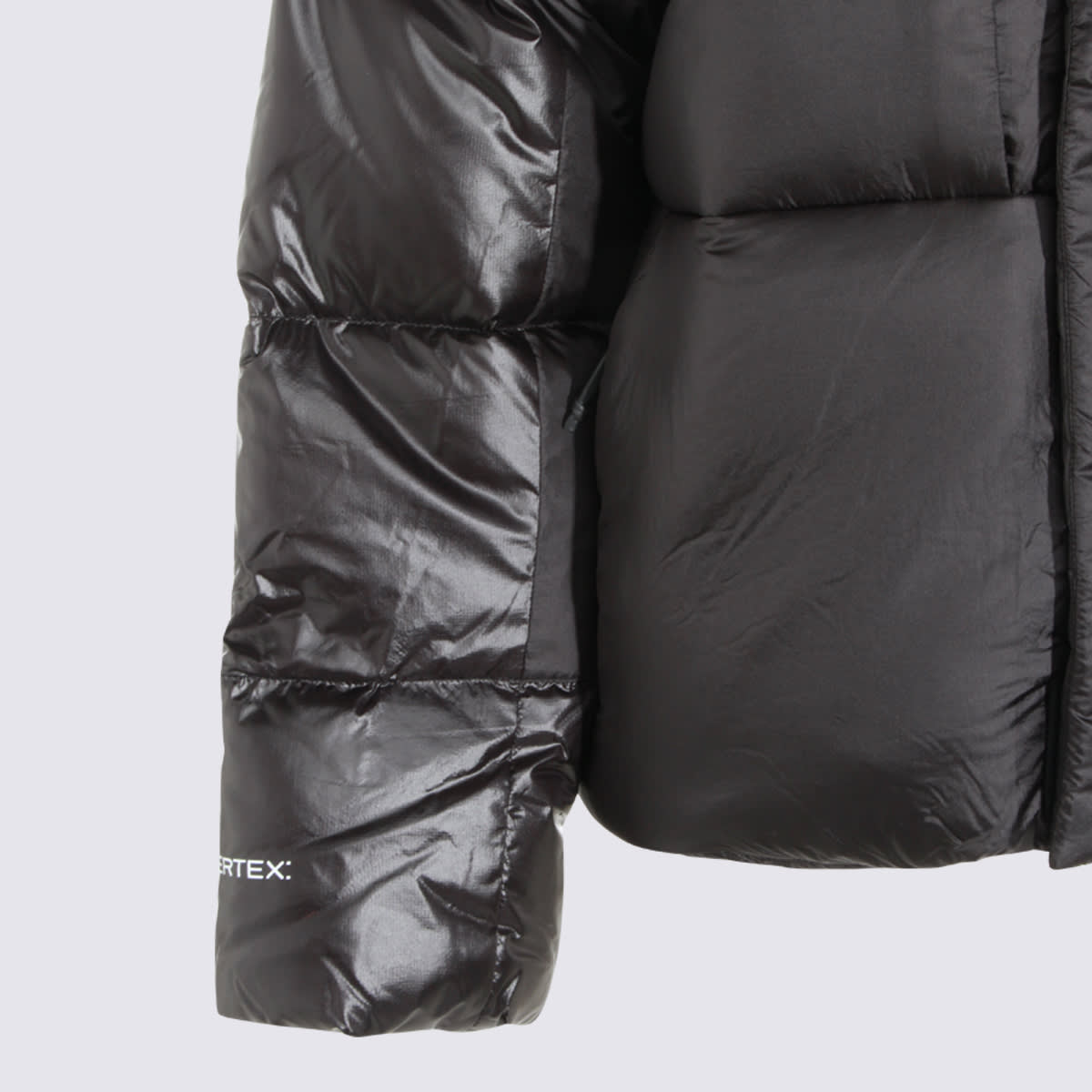 The North Face Coats Blacks And Greys In Gray