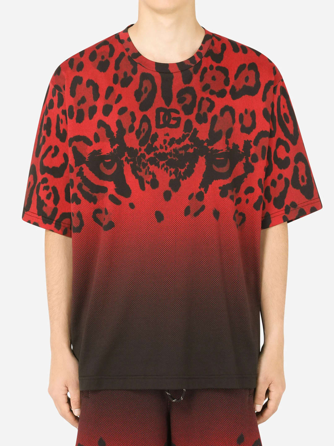 Dolce & Gabbana Leopard Print T-shirt