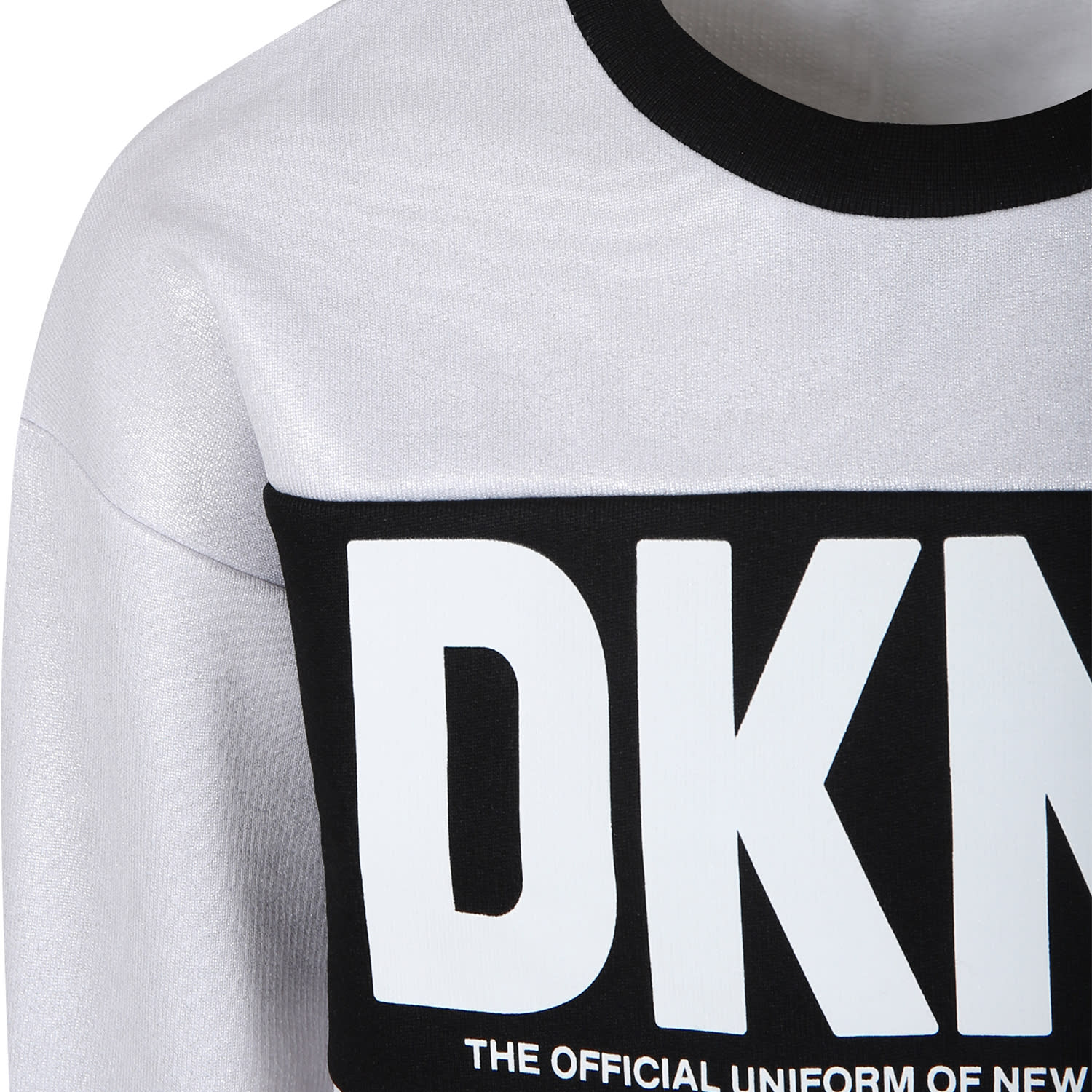 Shop Dkny Silver Sweatshirt For Girl With Logo
