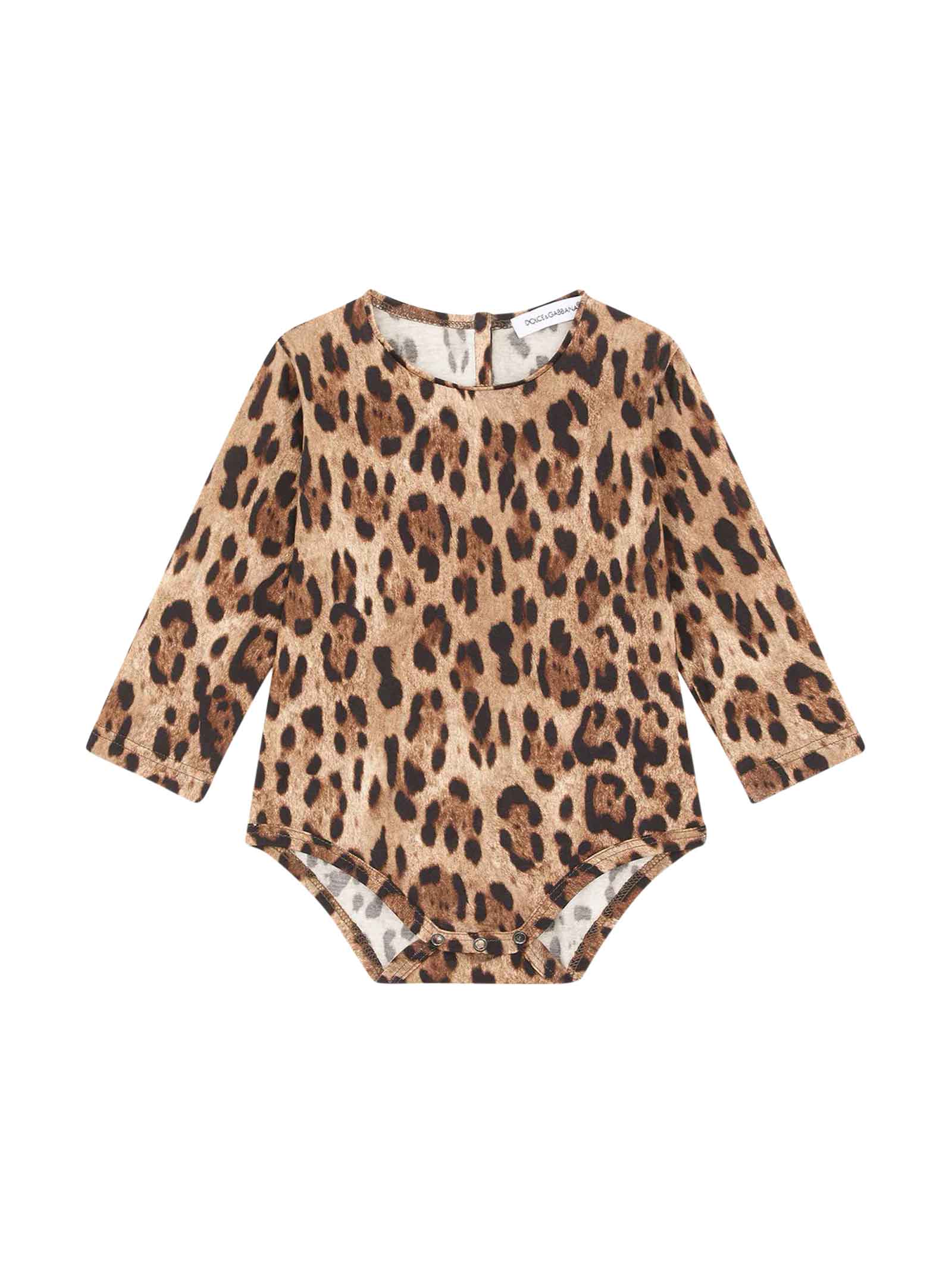 Dolce & Gabbana Baby Girl Leopard Bodysuit In Animal Print