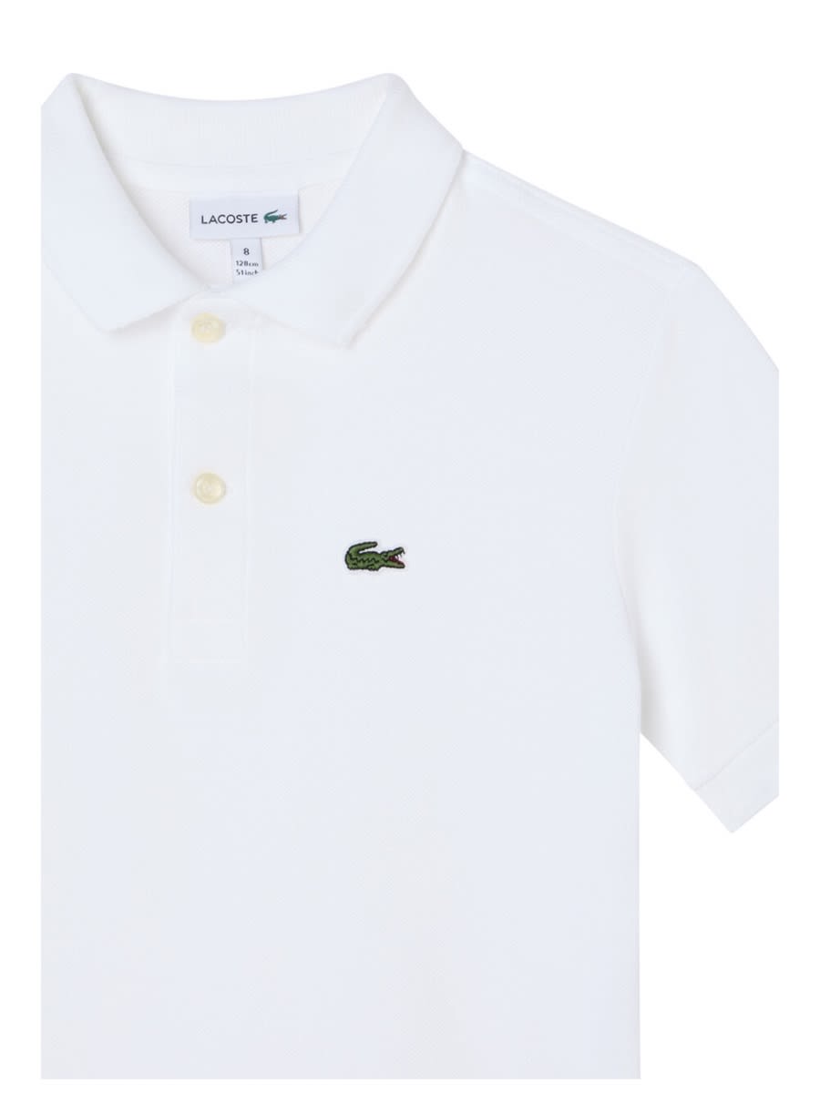 Lacoste Polo With Logo In White