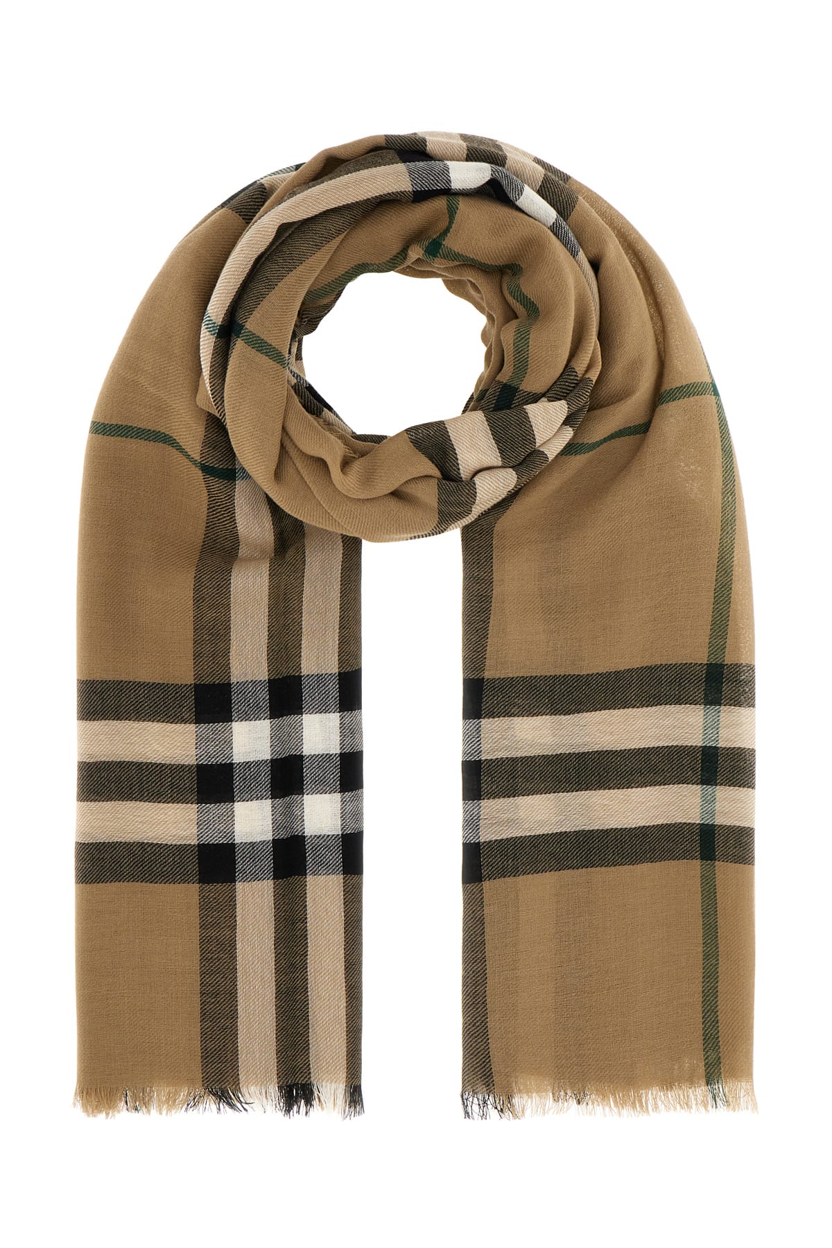 Burberry Embroidered Wool Scarf In Linden