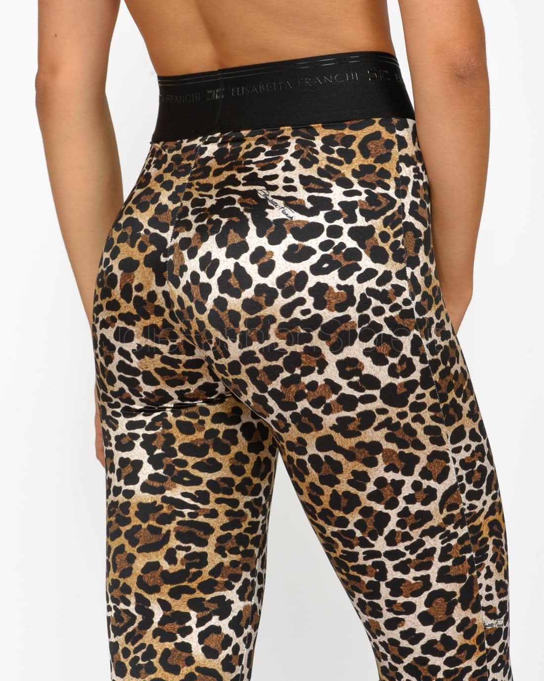 Shop Elisabetta Franchi Pantalone In Animalier