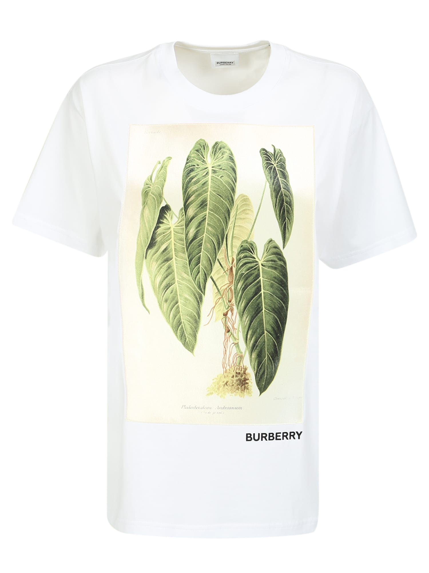Burberry Basic T-shirt Enriched