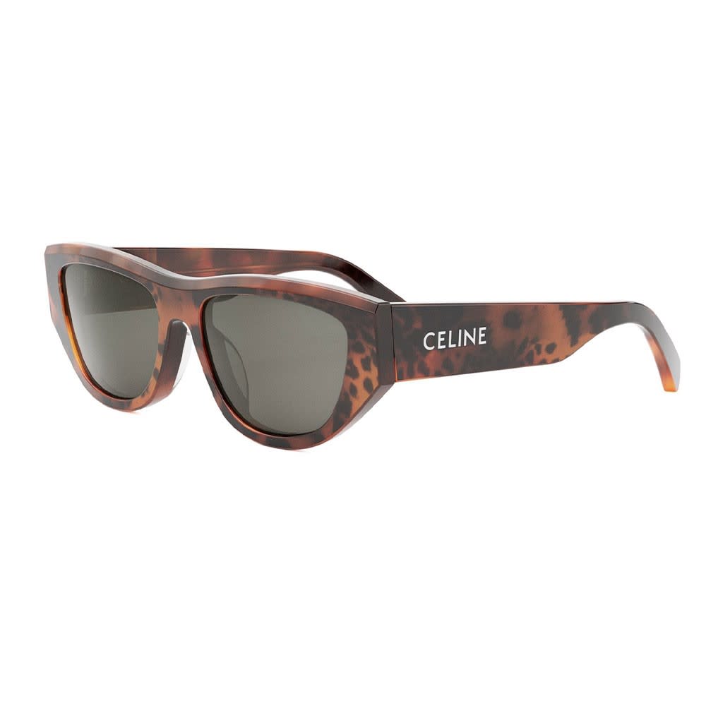 Shop Celine Sunglasses In Havana/grigio
