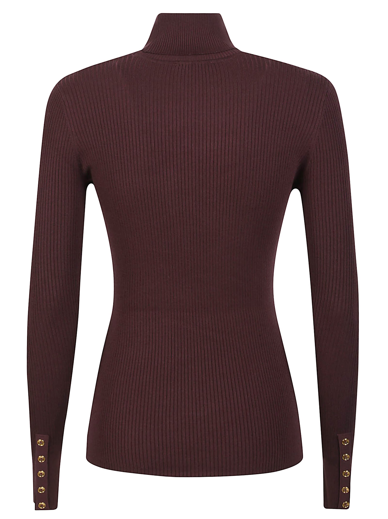 Elisabetta Franchi Tricot Turtle Neck Sweater In Burgundy