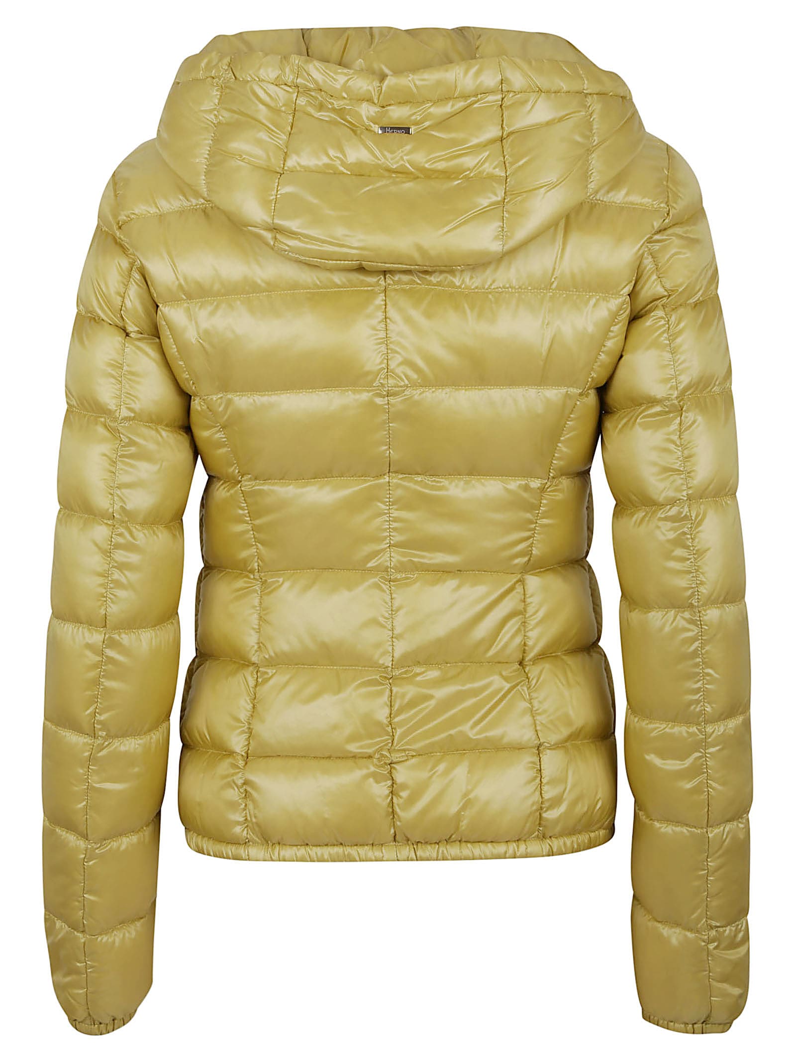 Shop Herno Padded Jacket In Canarino