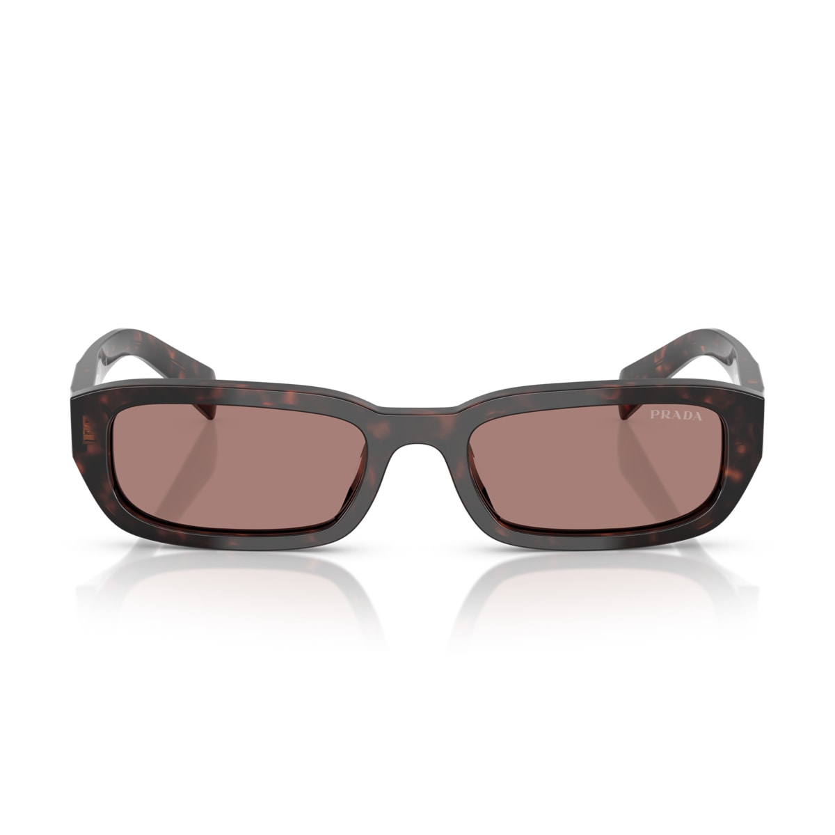 Prada Pr B06s 17n60b Root Tartarugato Sunglasses
