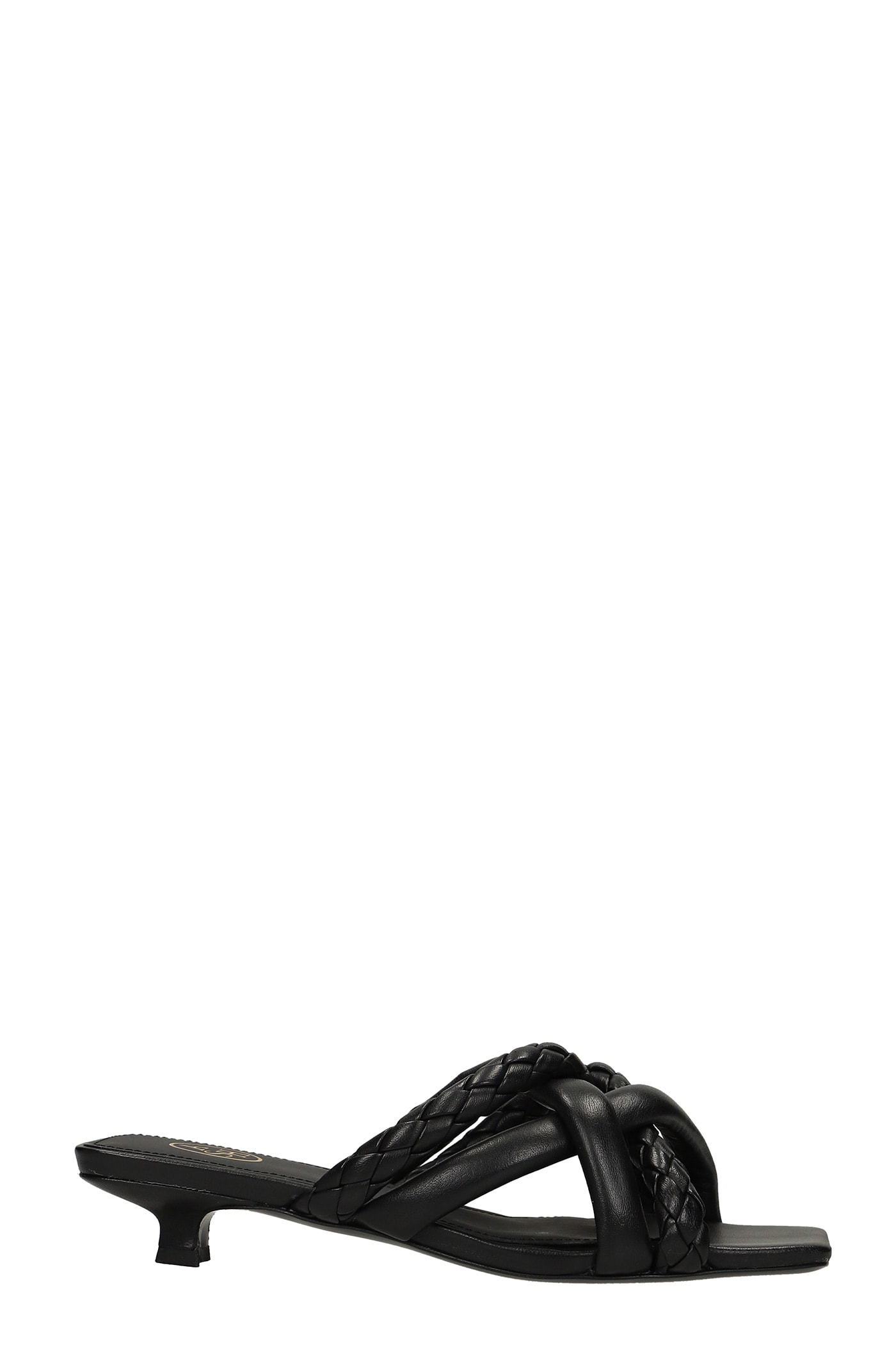 Ash Women's Nolita Crisscross Leather Sandals In Black