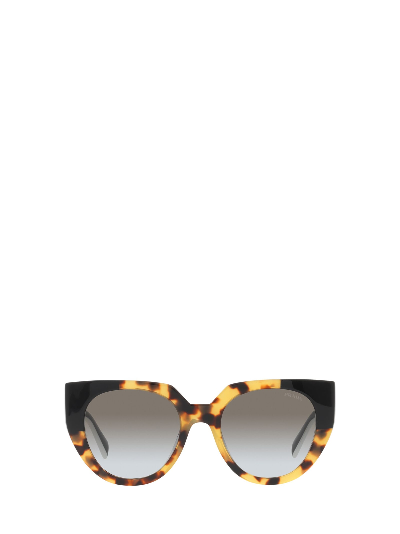 Prada Pr 14ws Medium Tortoise / Black Sunglasses In Grey | ModeSens