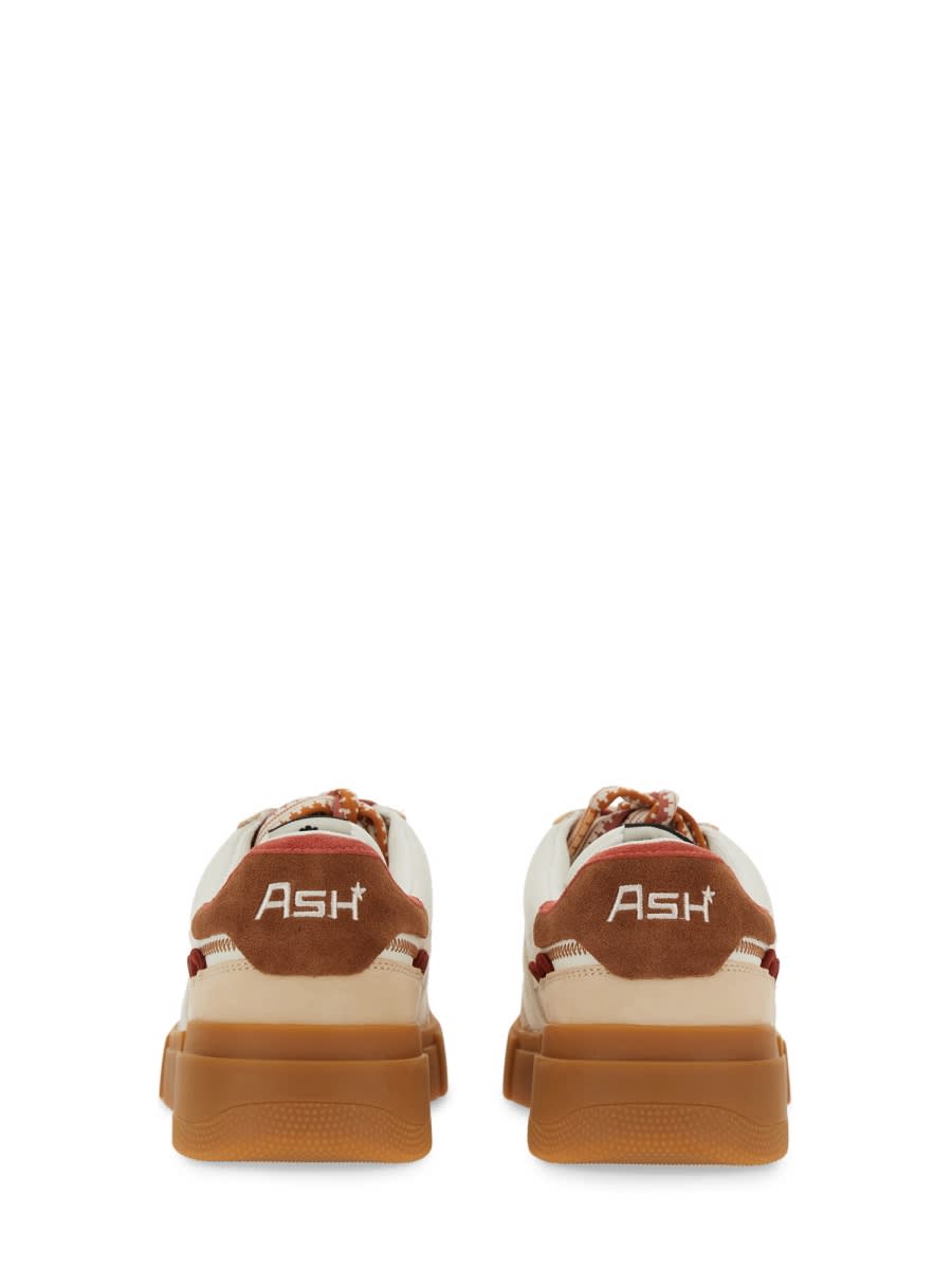 Shop Ash Sneaker With Logo In Multicolour