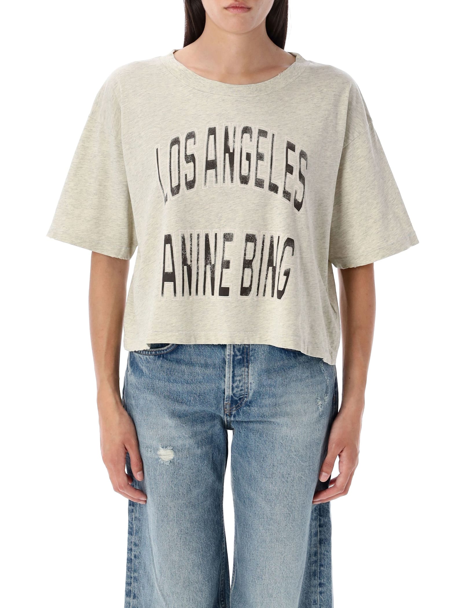 Anine Bing Graphic Print Cropped T-shirt With Short Sleeves In Gray