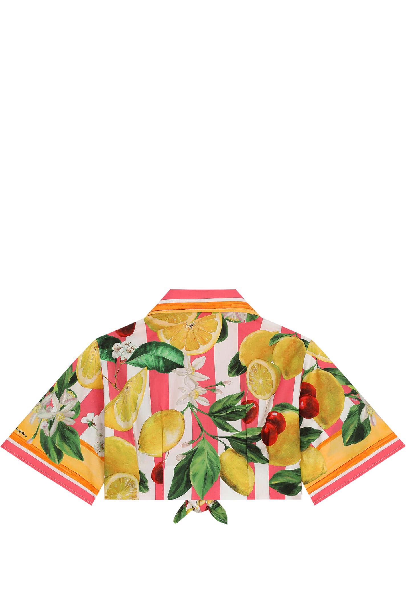 Shop Dolce & Gabbana Shirt With Print In Multicolor