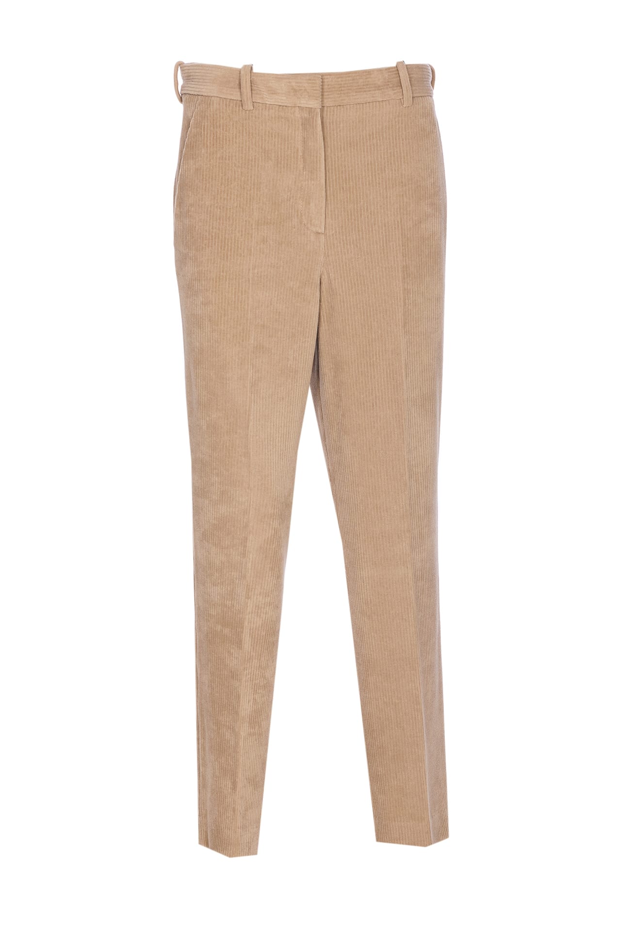 Circolo 1901 Corduroy Velvet Trousers Belt Loops In Brown