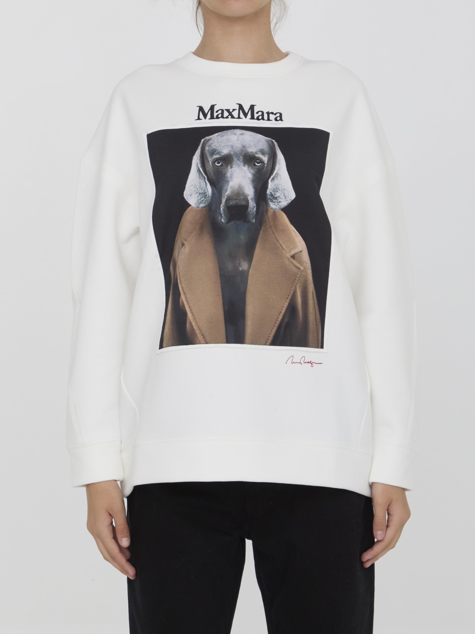 Shop Max Mara Bacco Sweatshirt In Ivory