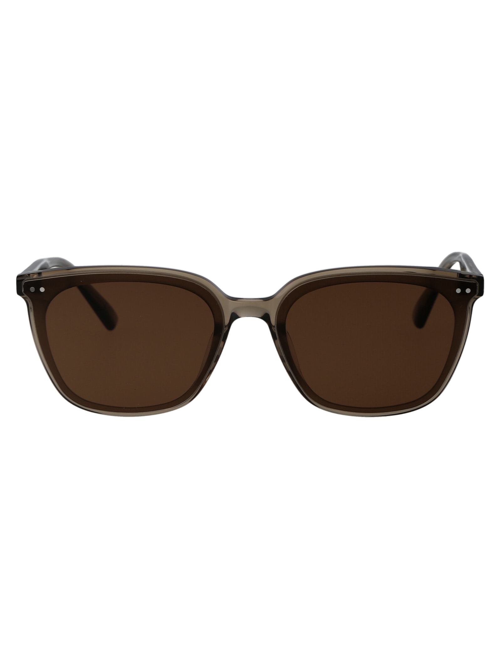 Gentle Monster Heizer Sunglasses In Brown