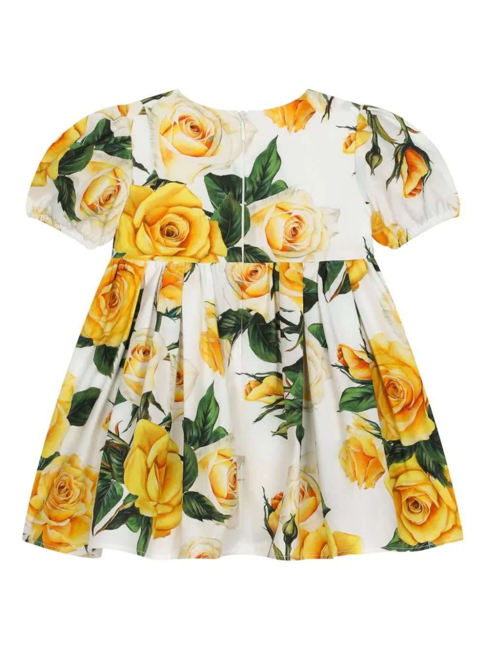 Shop Dolce & Gabbana Yellow Rose Print Poplin Short-sleeved Dress