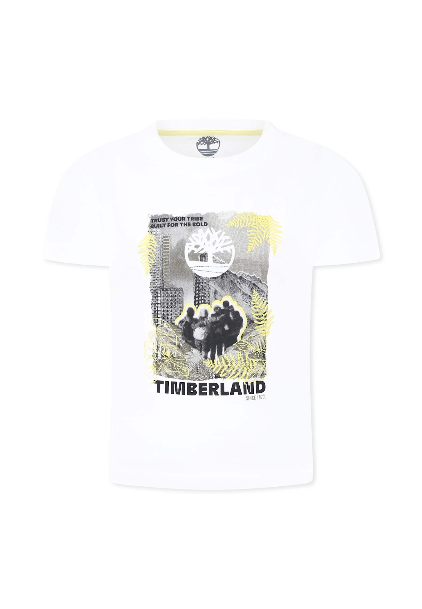 Timberland White T-shirt For Boy With Logo In White