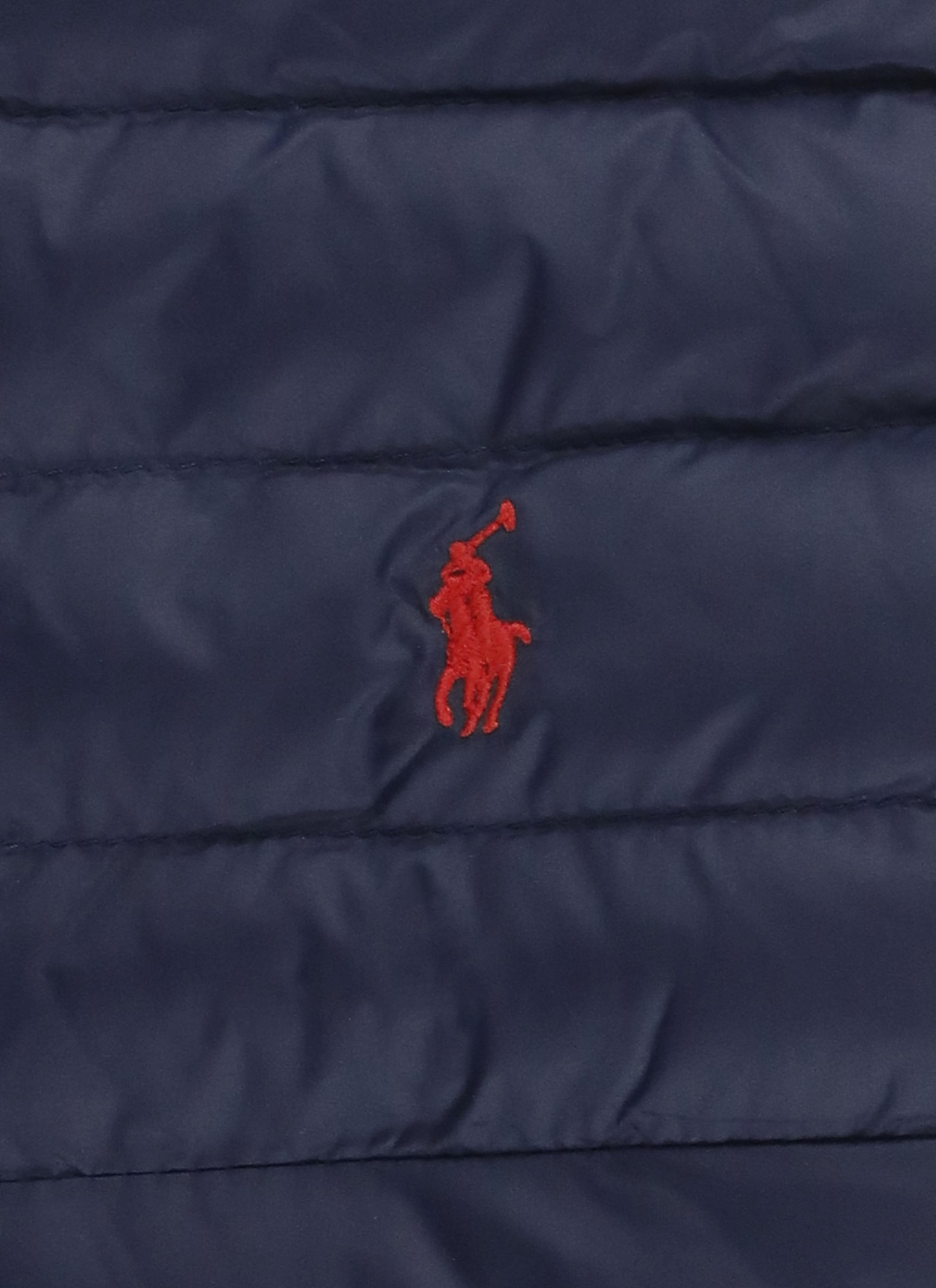 Ralph Lauren Pony Padded Jacket In Blue