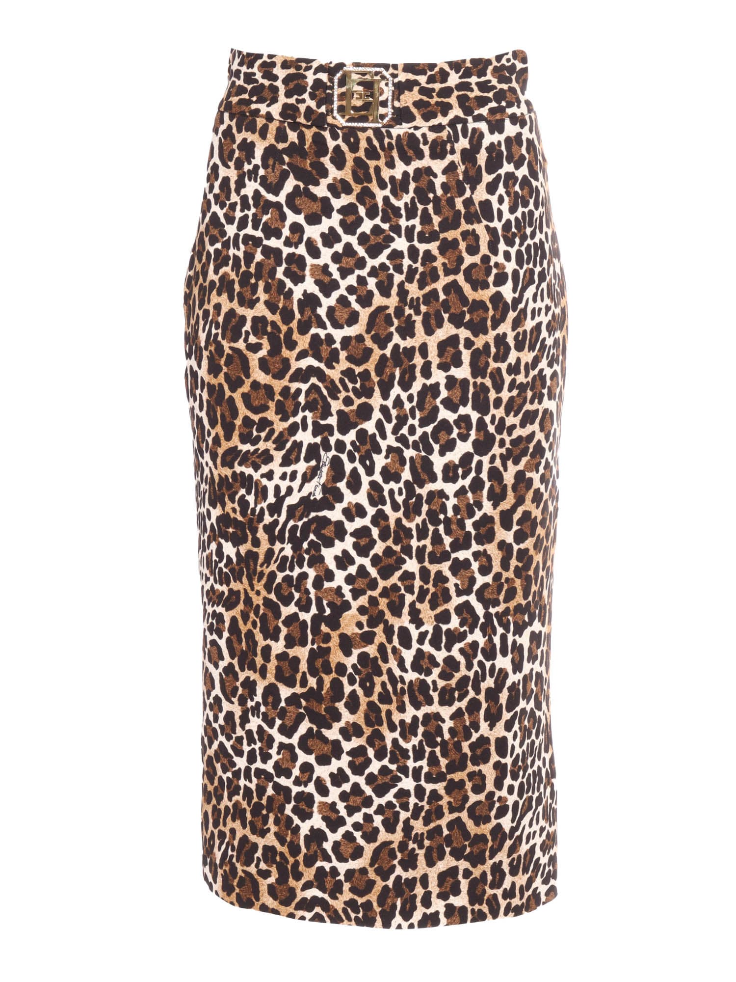 Shop Elisabetta Franchi Skirt In Brown