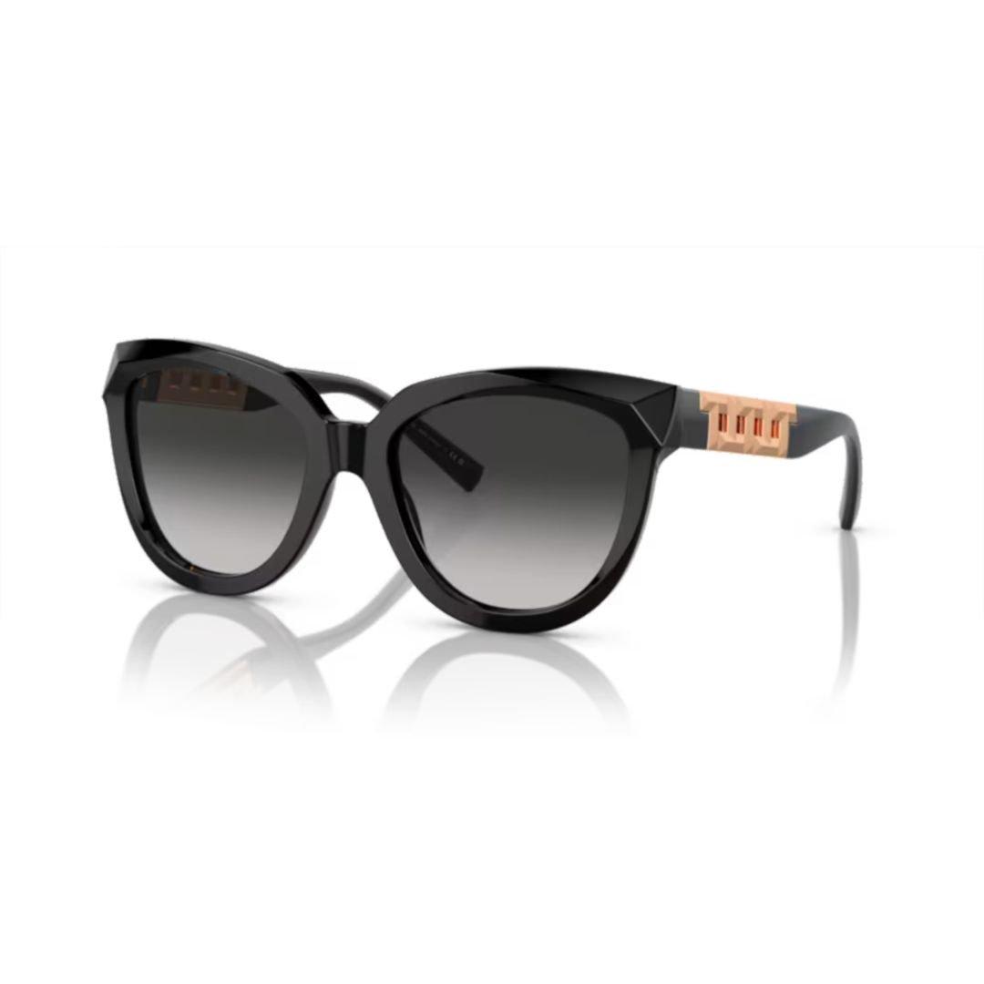 Cat-eye Frame Sunglasses