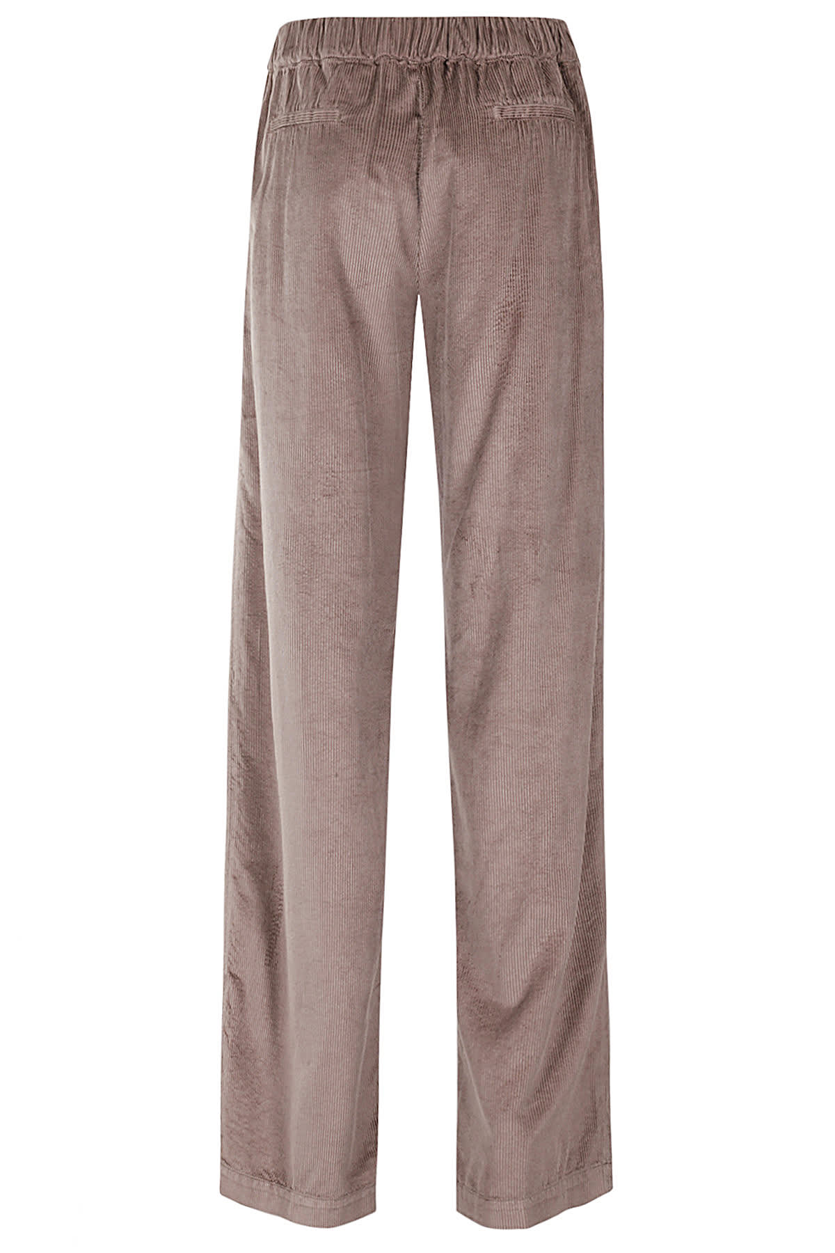 Re-hash Allegra In Camel