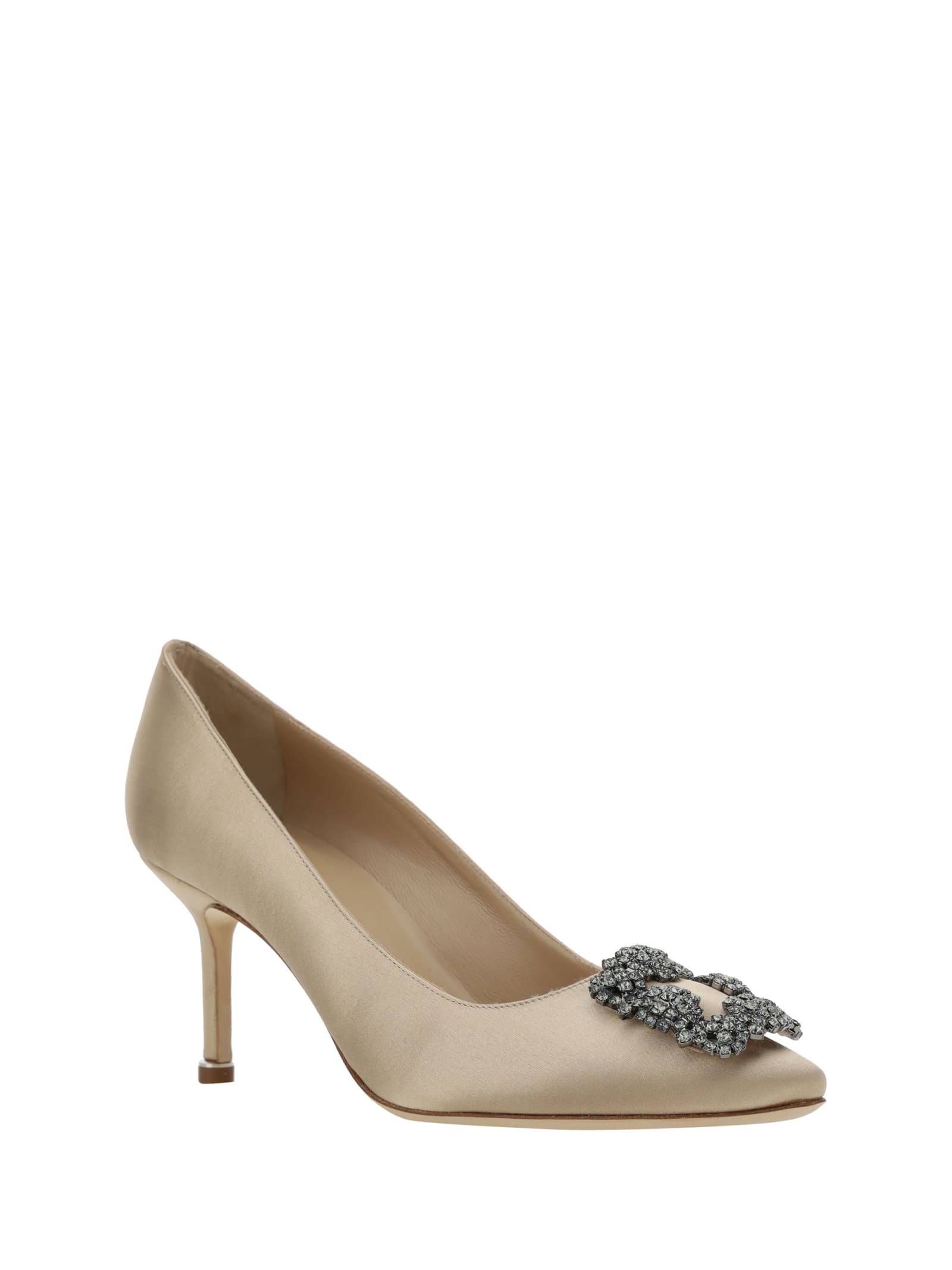 Shop Manolo Blahnik Hangisi Pumps In Mnud