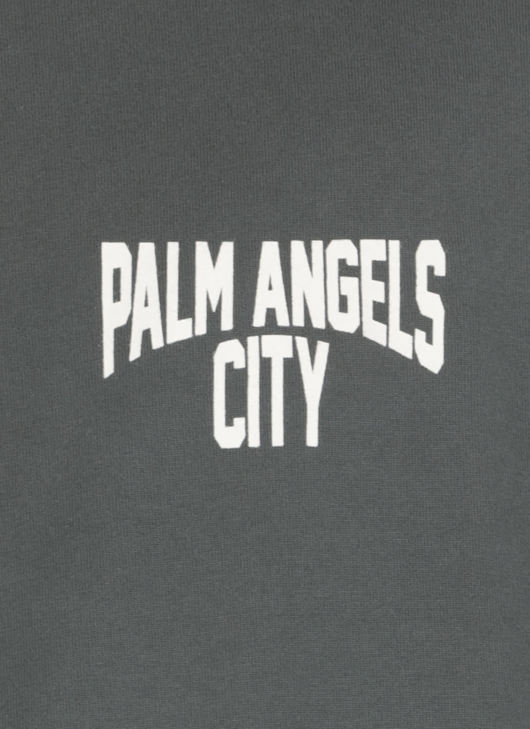 Shop Palm Angels Pa City Washed T-shirt In Grey