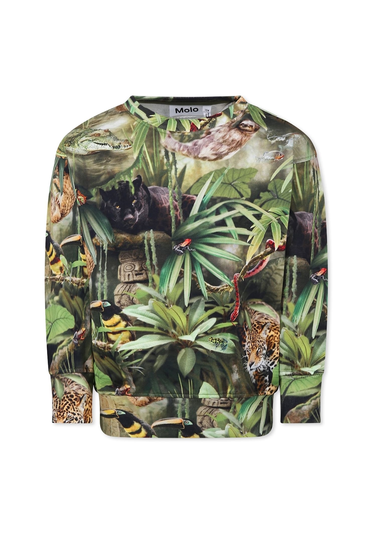 Molo Green Sweatshirt For Boy With Jungle Animal In Green