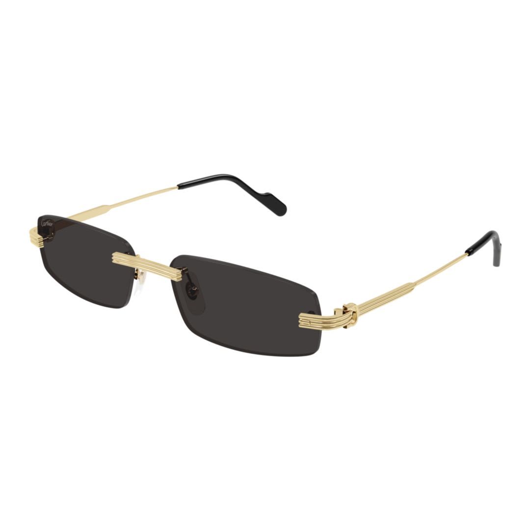 Cartier Eyewear Ct0535s001