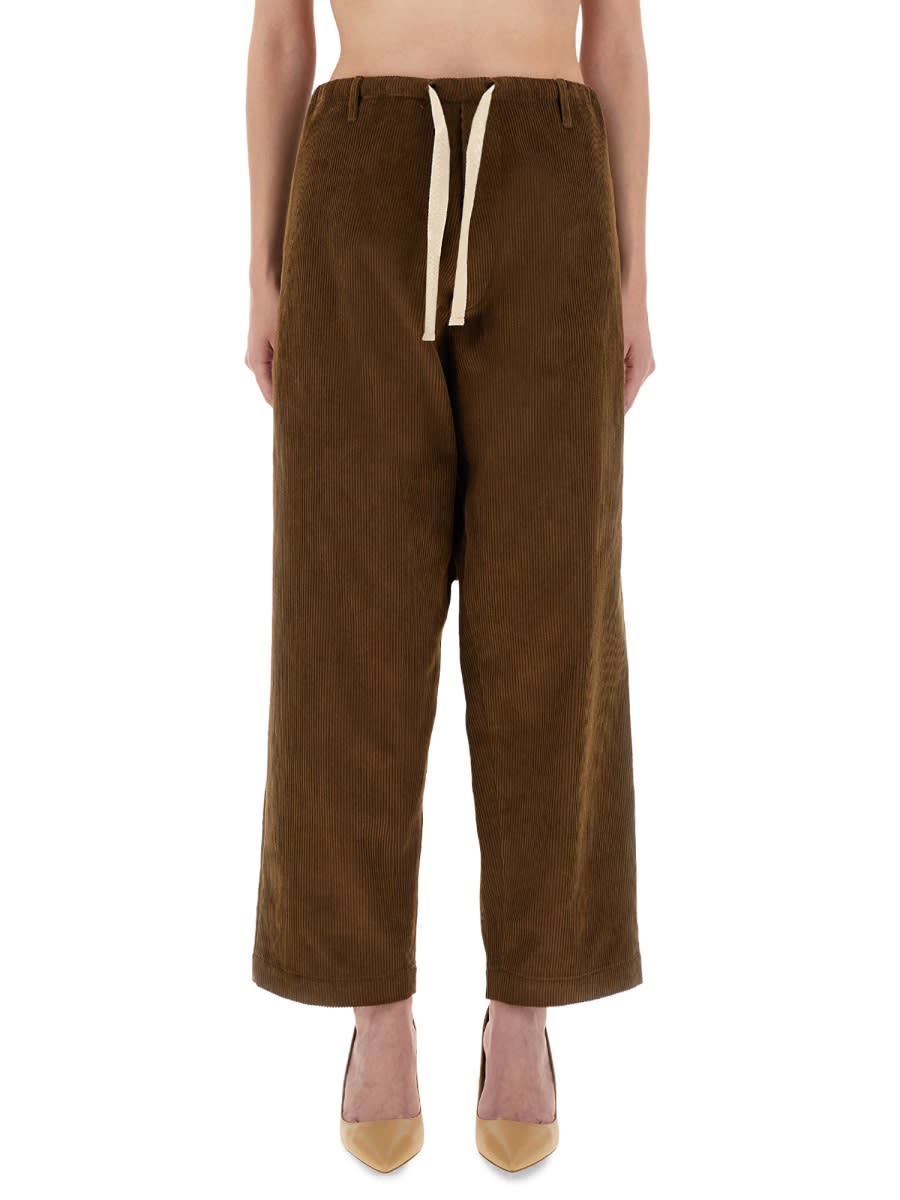 Moschino Corduroy Pants In Brown