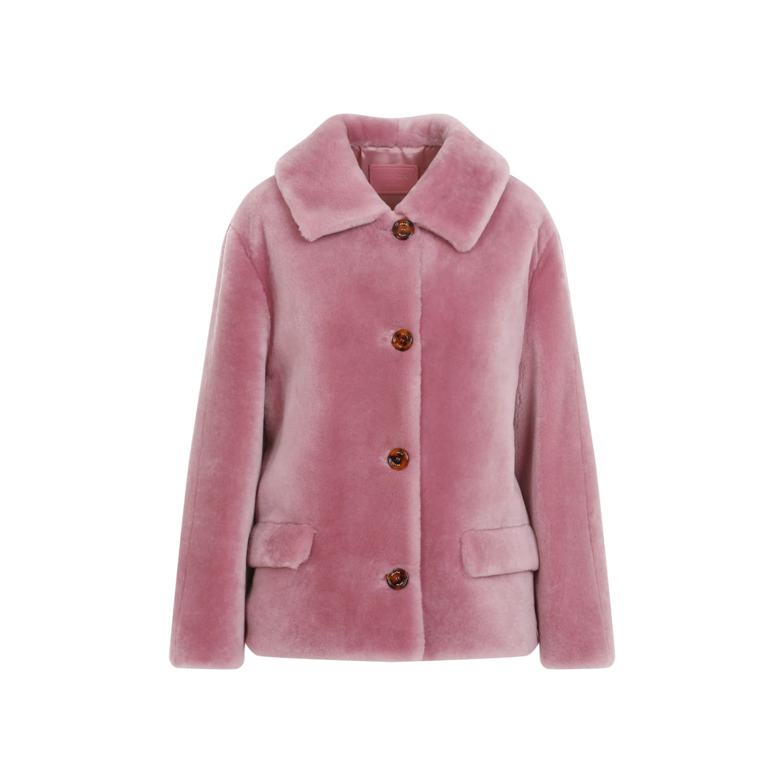 Shop Prada Jacket In Begonia