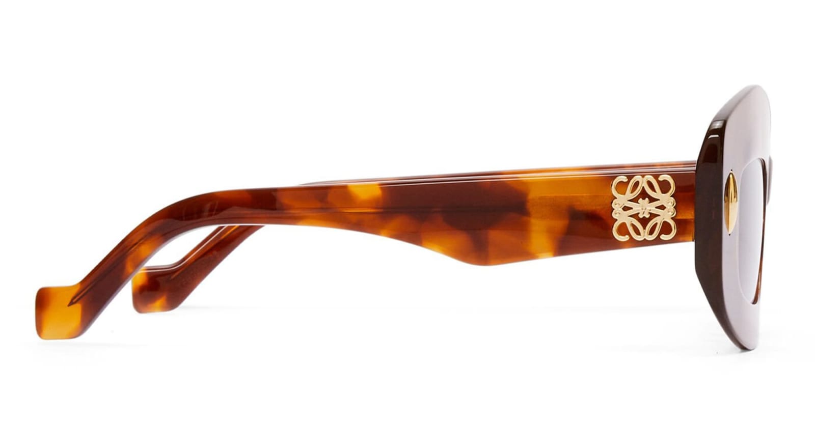 Loewe Lw40114i - Flamed Havana Sunglasses In Black Shine