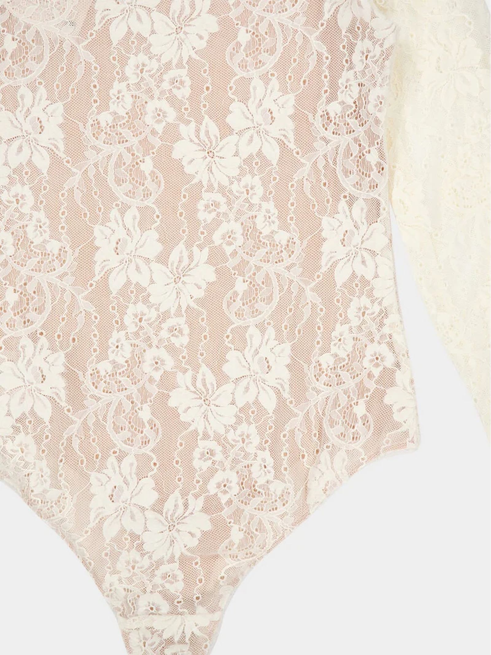 Shop Zimmermann Lace Bodysuit In Cream In Beige