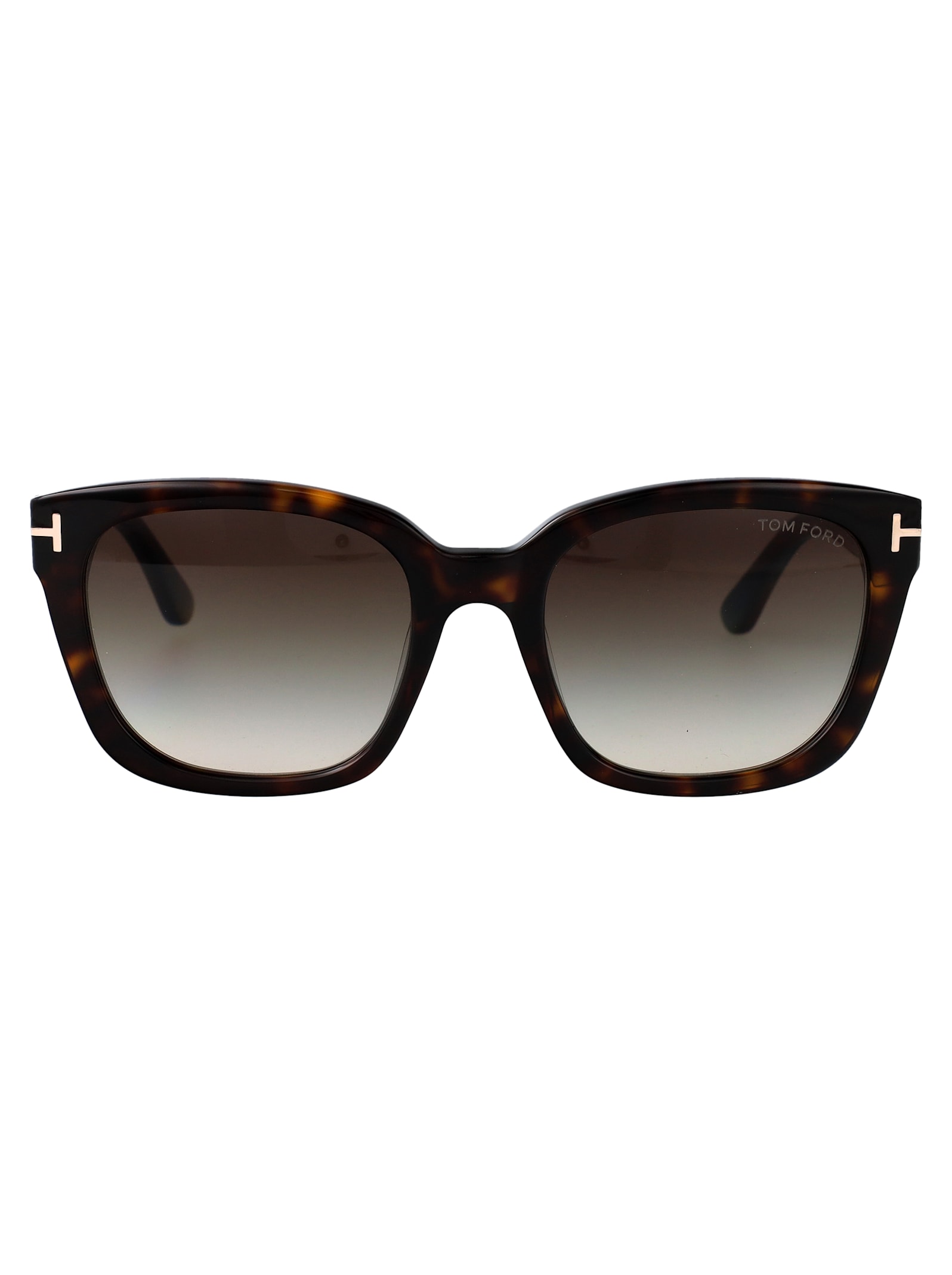 Tom Ford Full Frame Sunglasses In Avana Scura / Fumo Grad