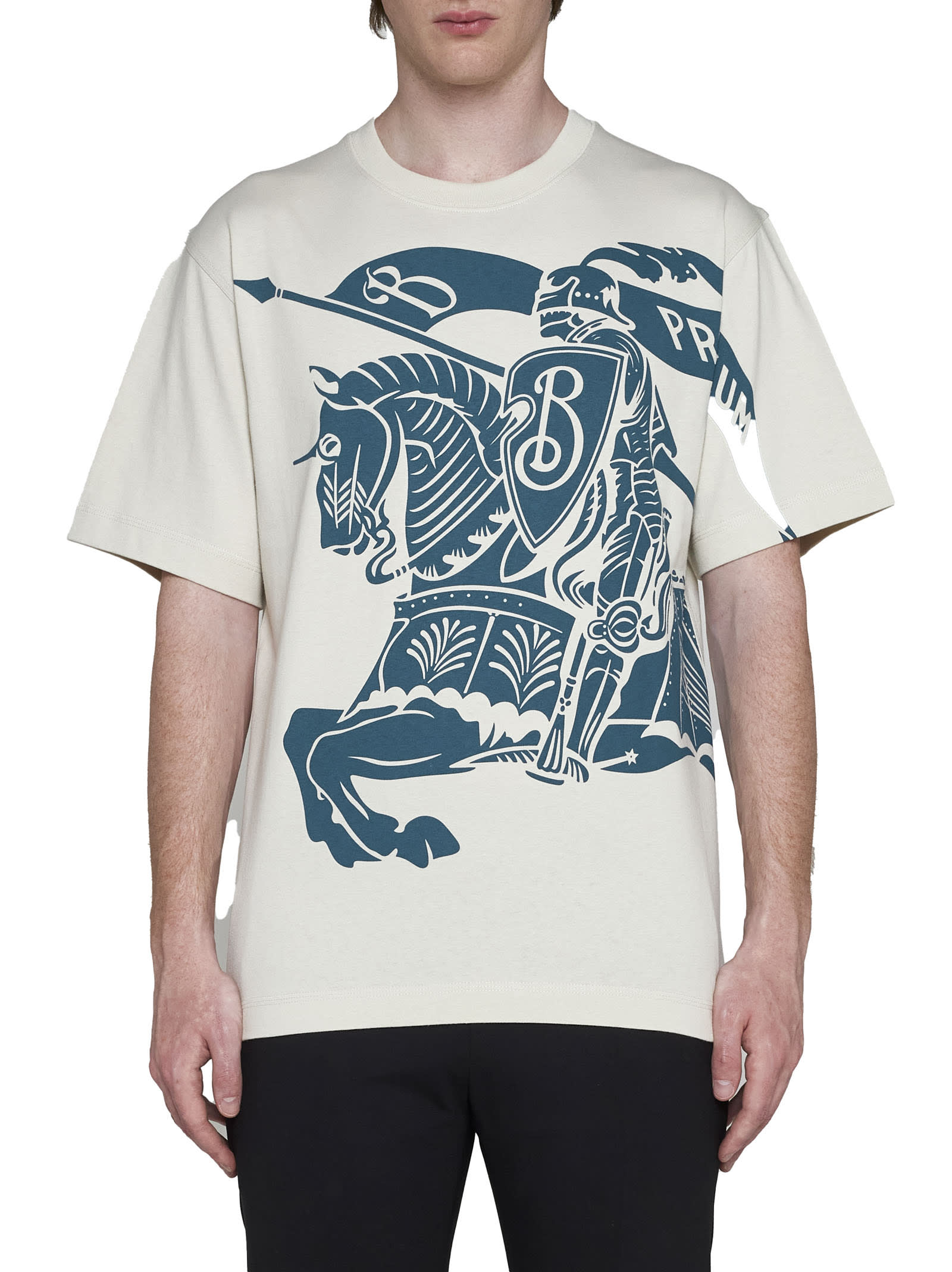 Shop Burberry T-shirt In Plaster