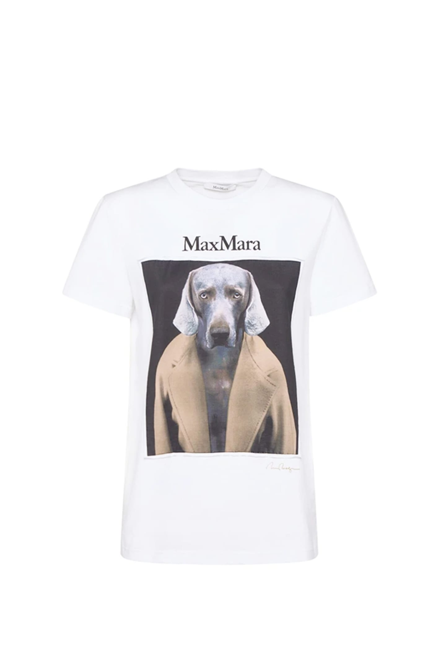 Shop Max Mara Cipria T-shirt