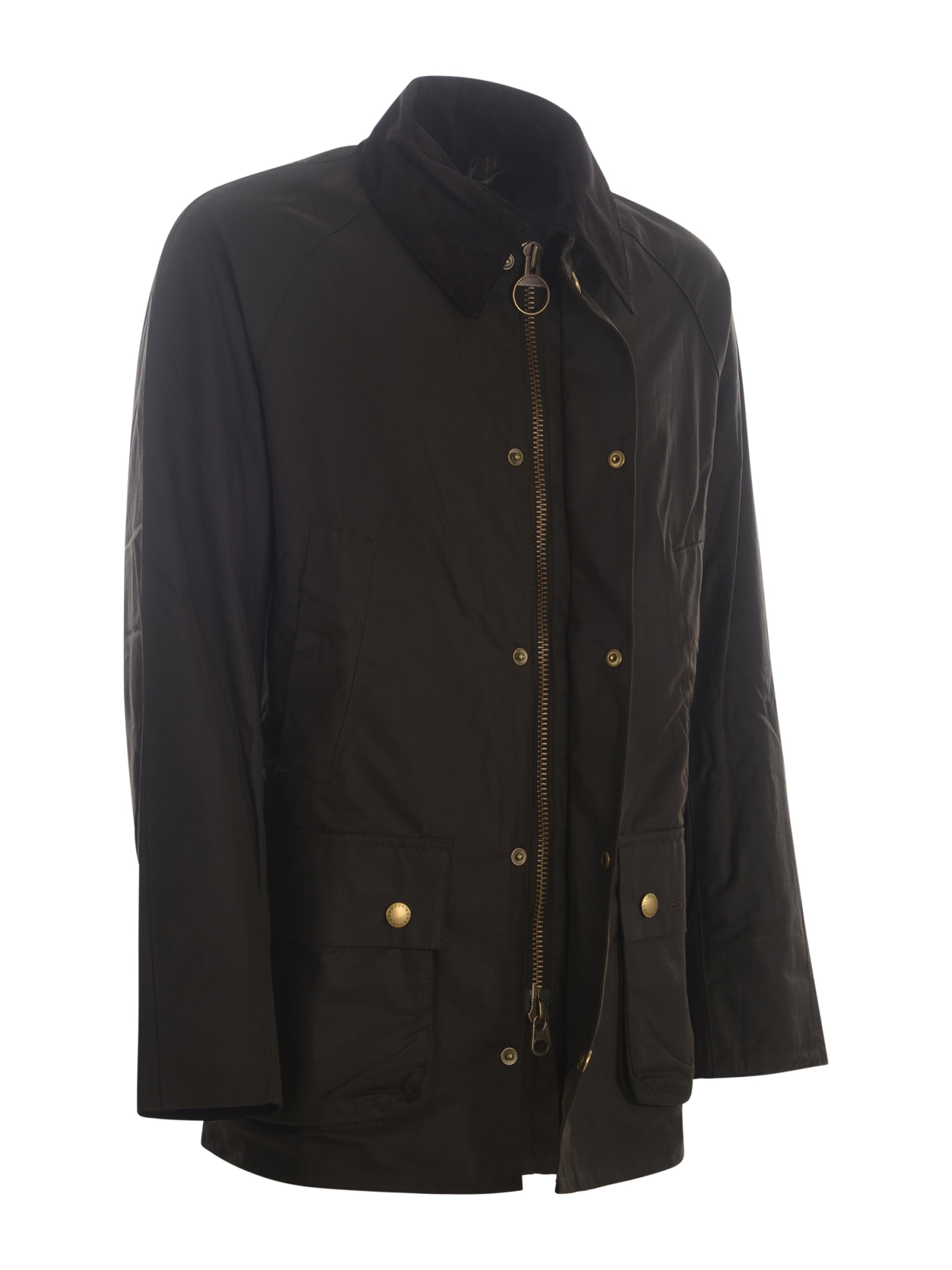 Shop Barbour Jacket  Ashby In Cotton In Marrone