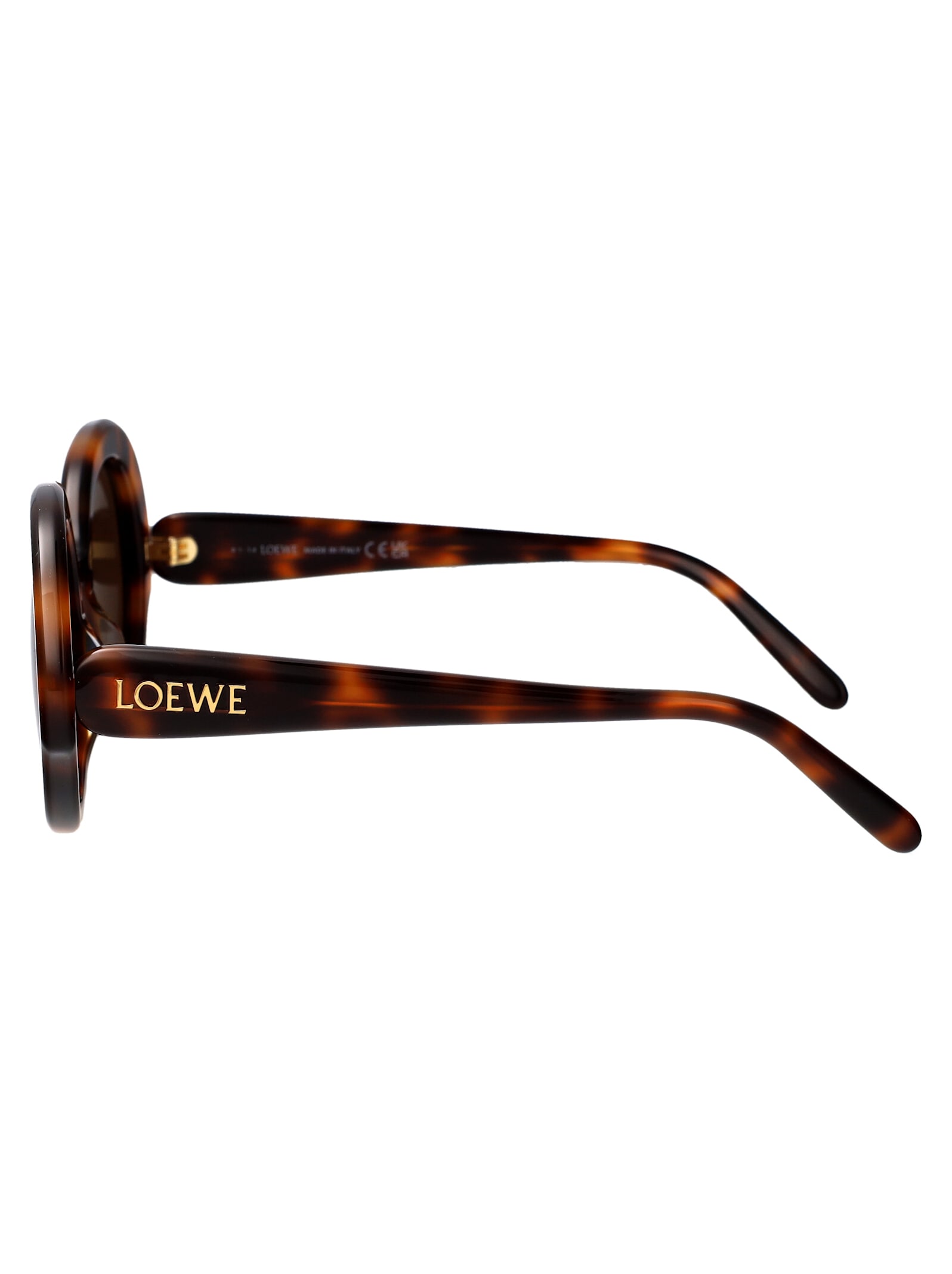 Shop Loewe Lw40135i Sunglasses In Havana